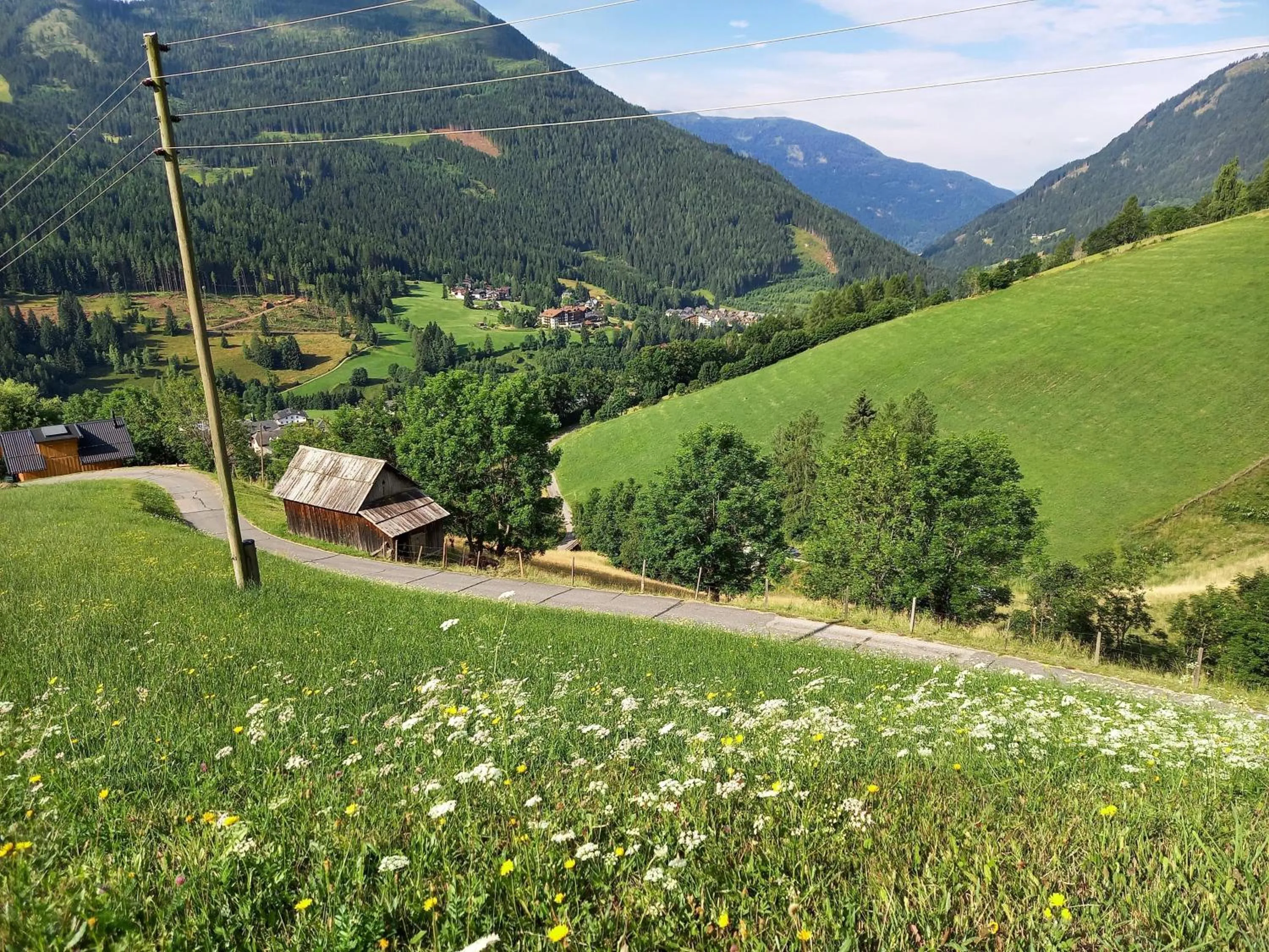 Spring in Tischnerhof Appartements