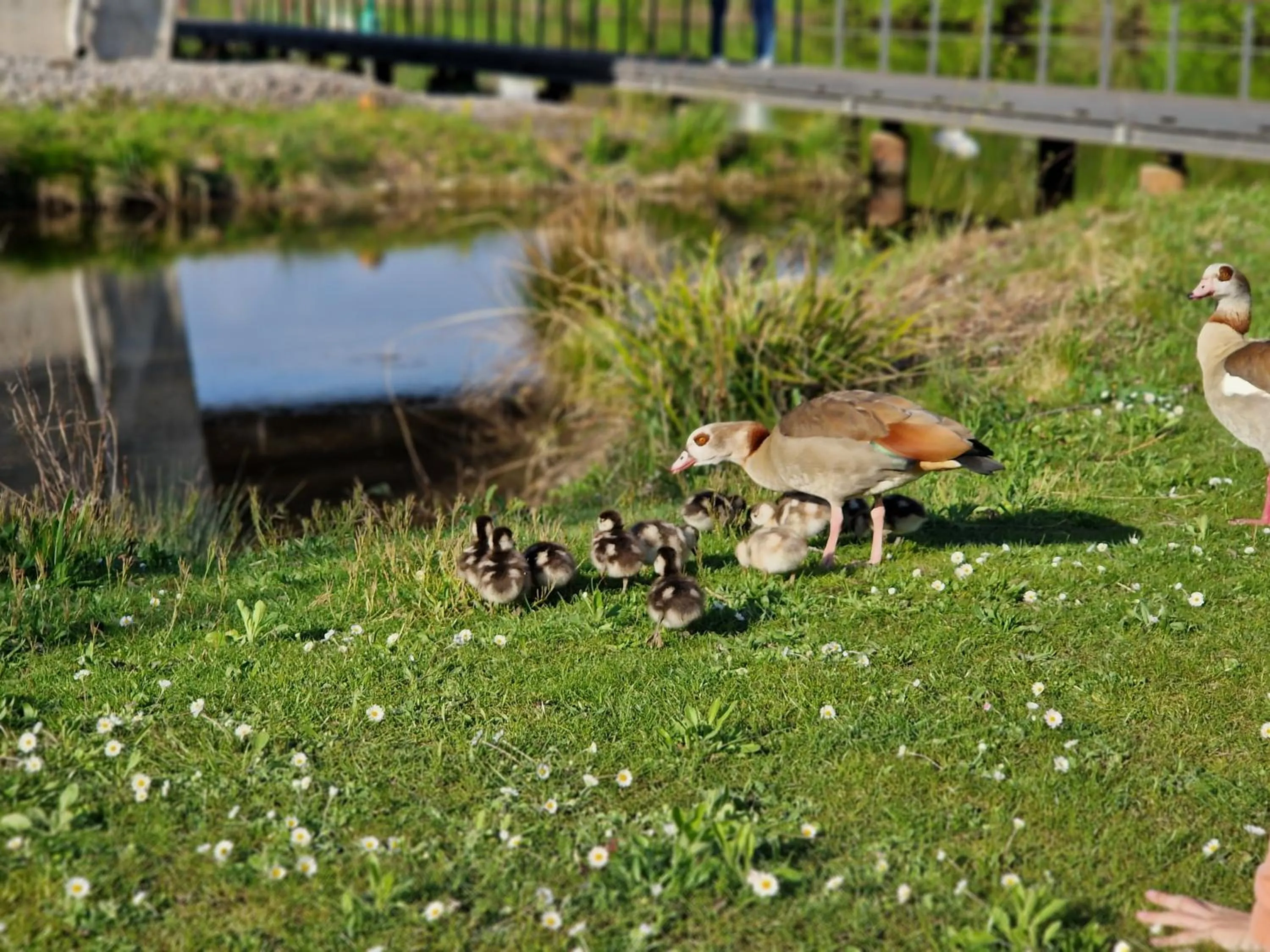 Nearby landmark in Hotel am Kurpark