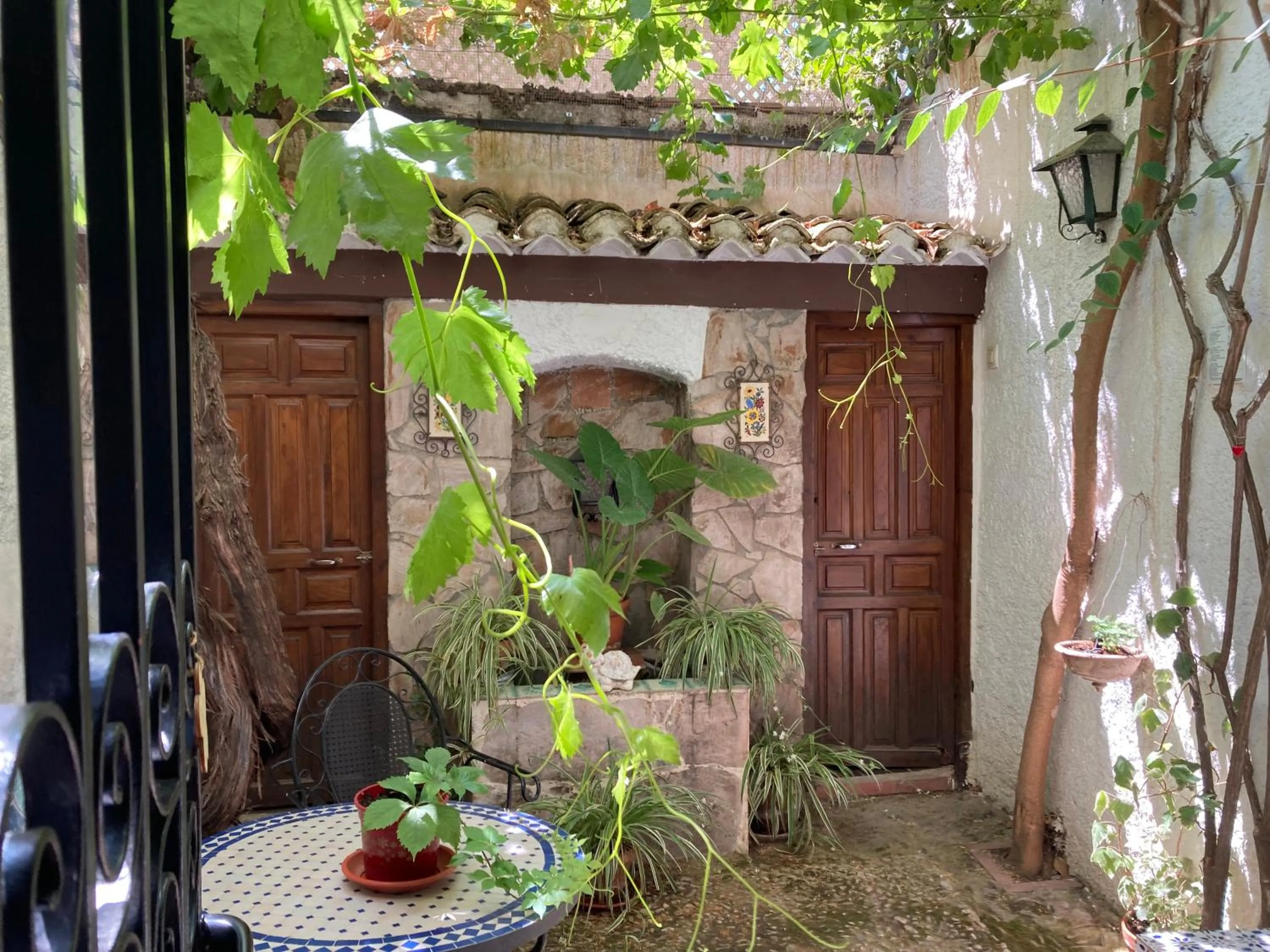 Garden in Patio Granada