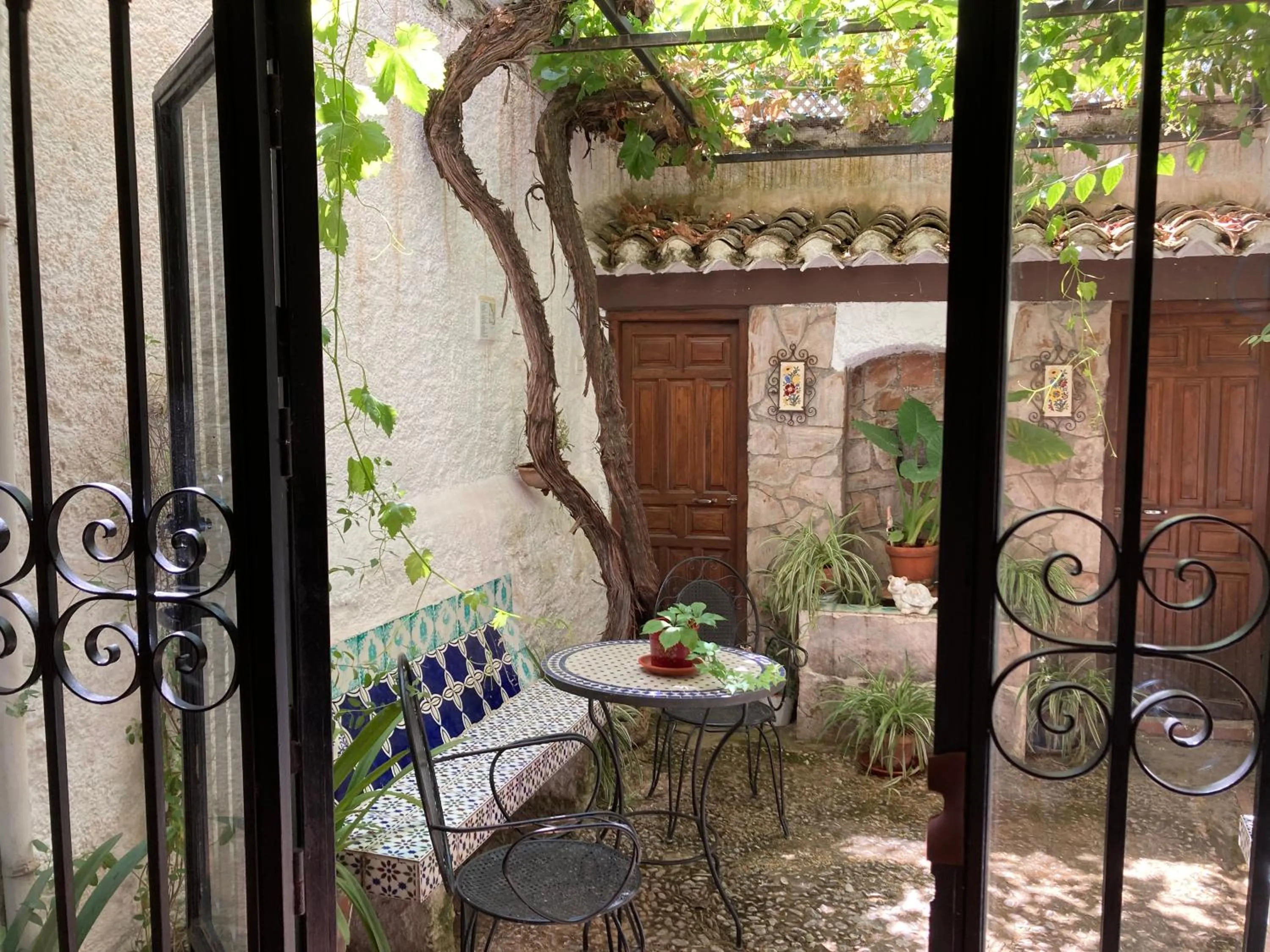 Garden in Patio Granada