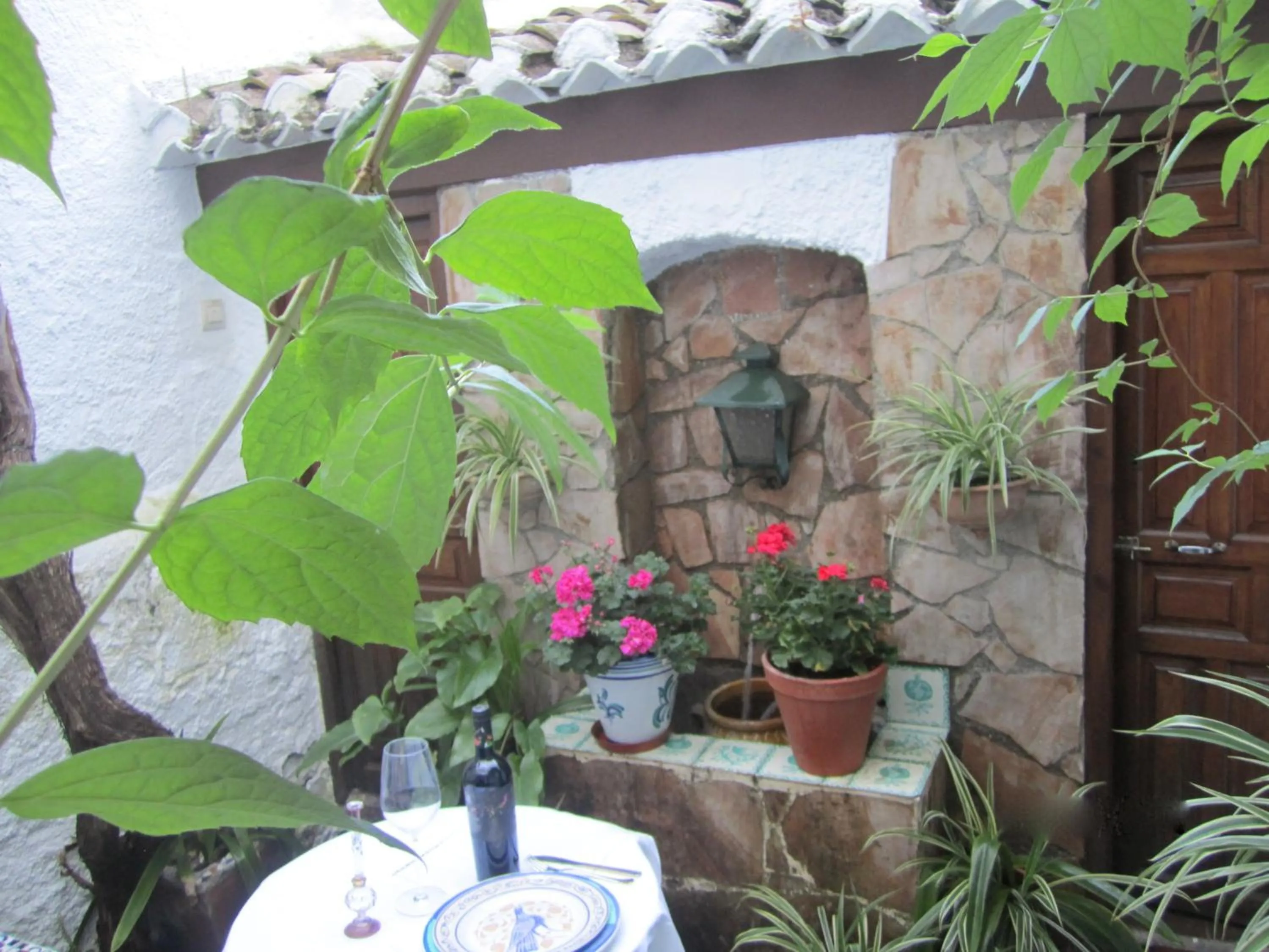 Garden in Patio Granada