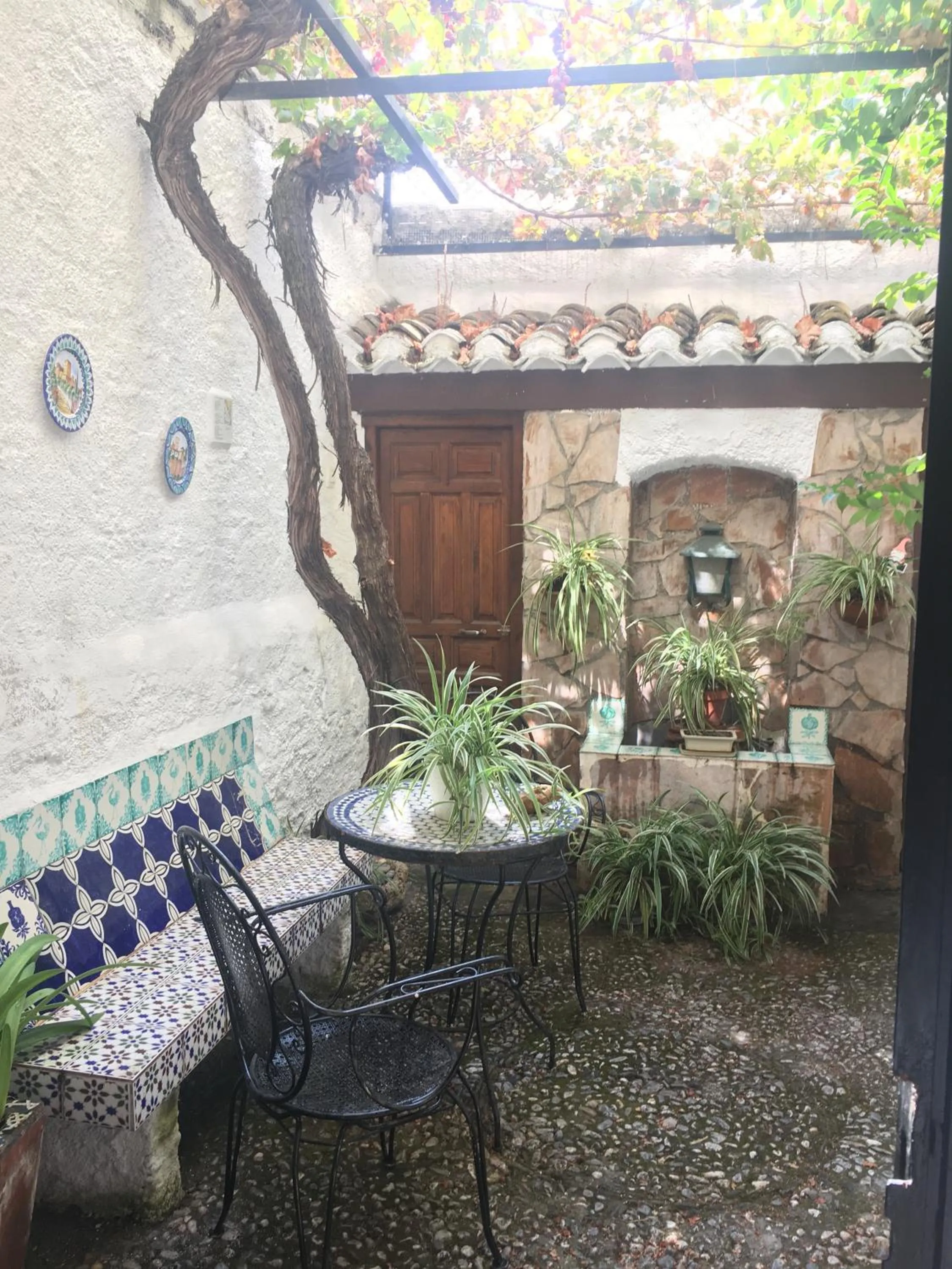 Garden in Patio Granada