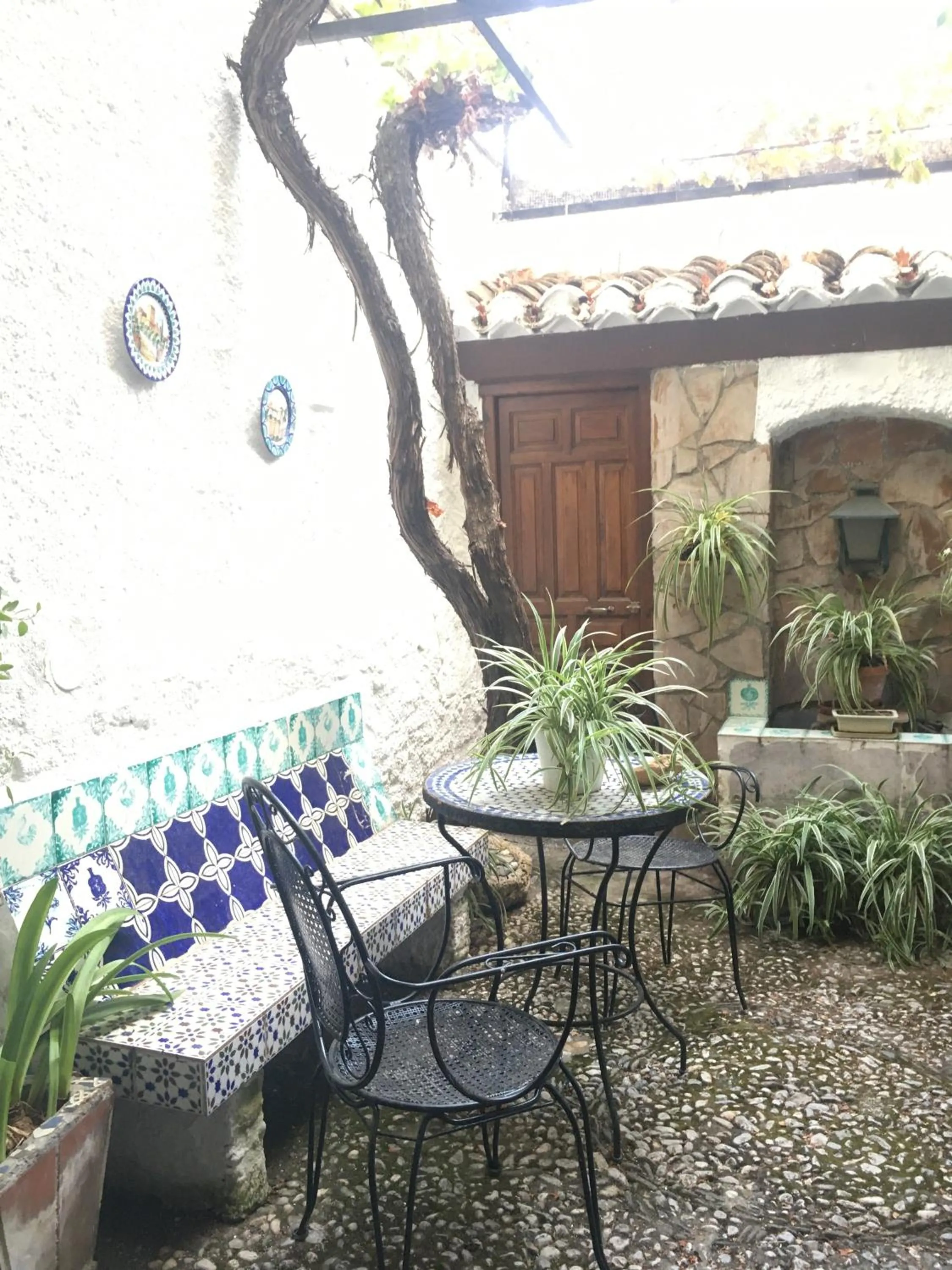 Garden in Patio Granada