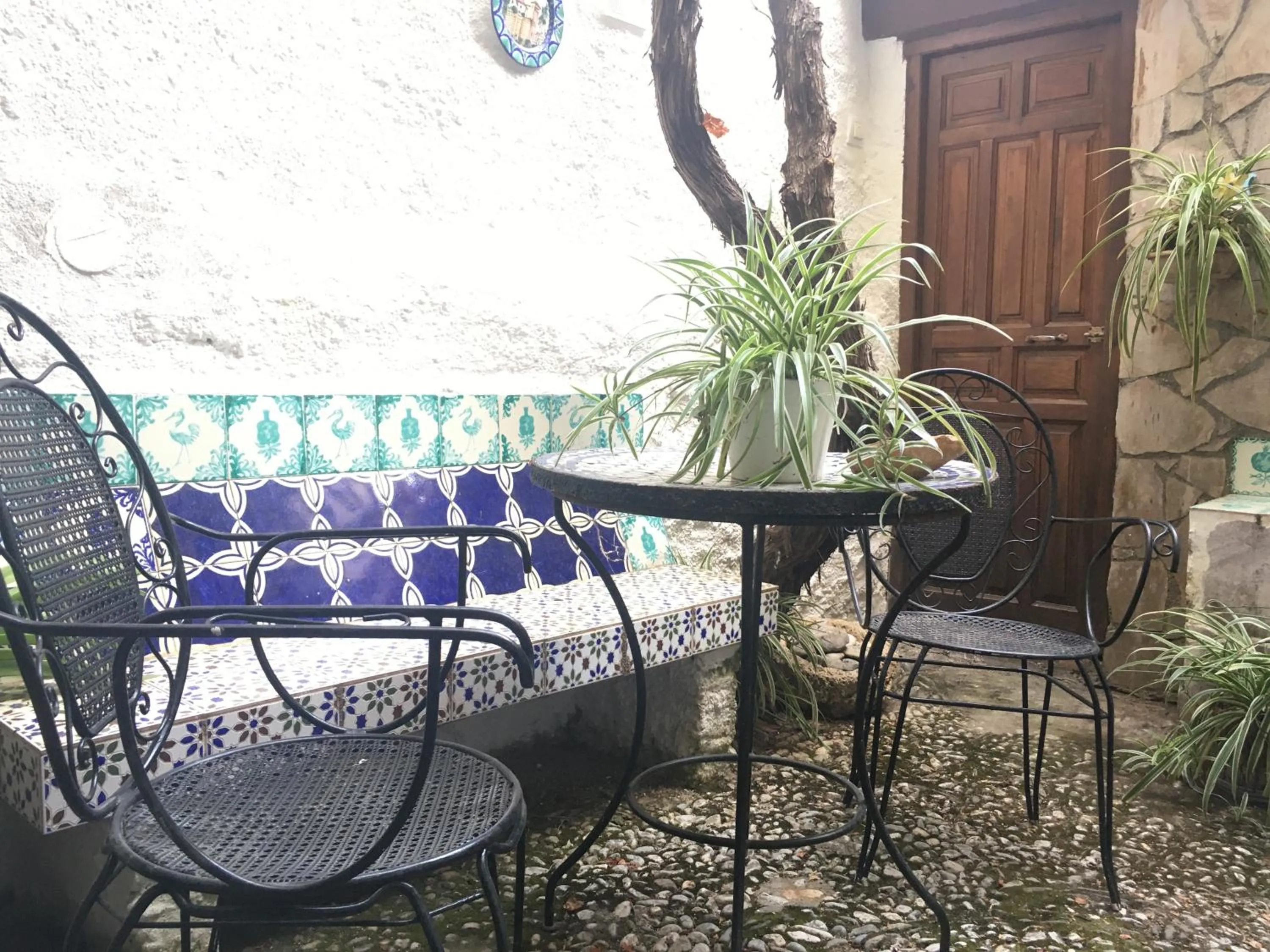 Garden in Patio Granada