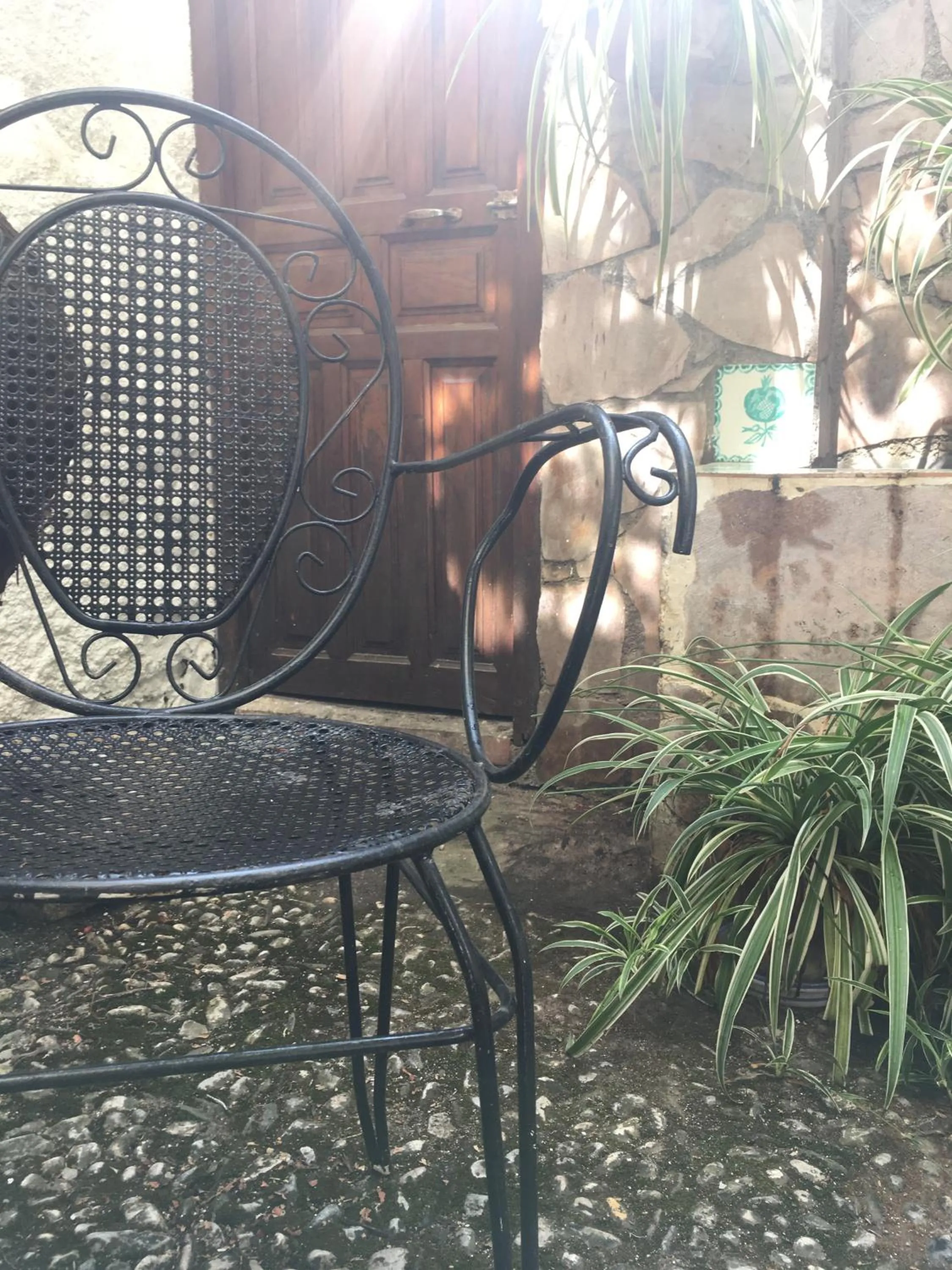 Garden in Patio Granada