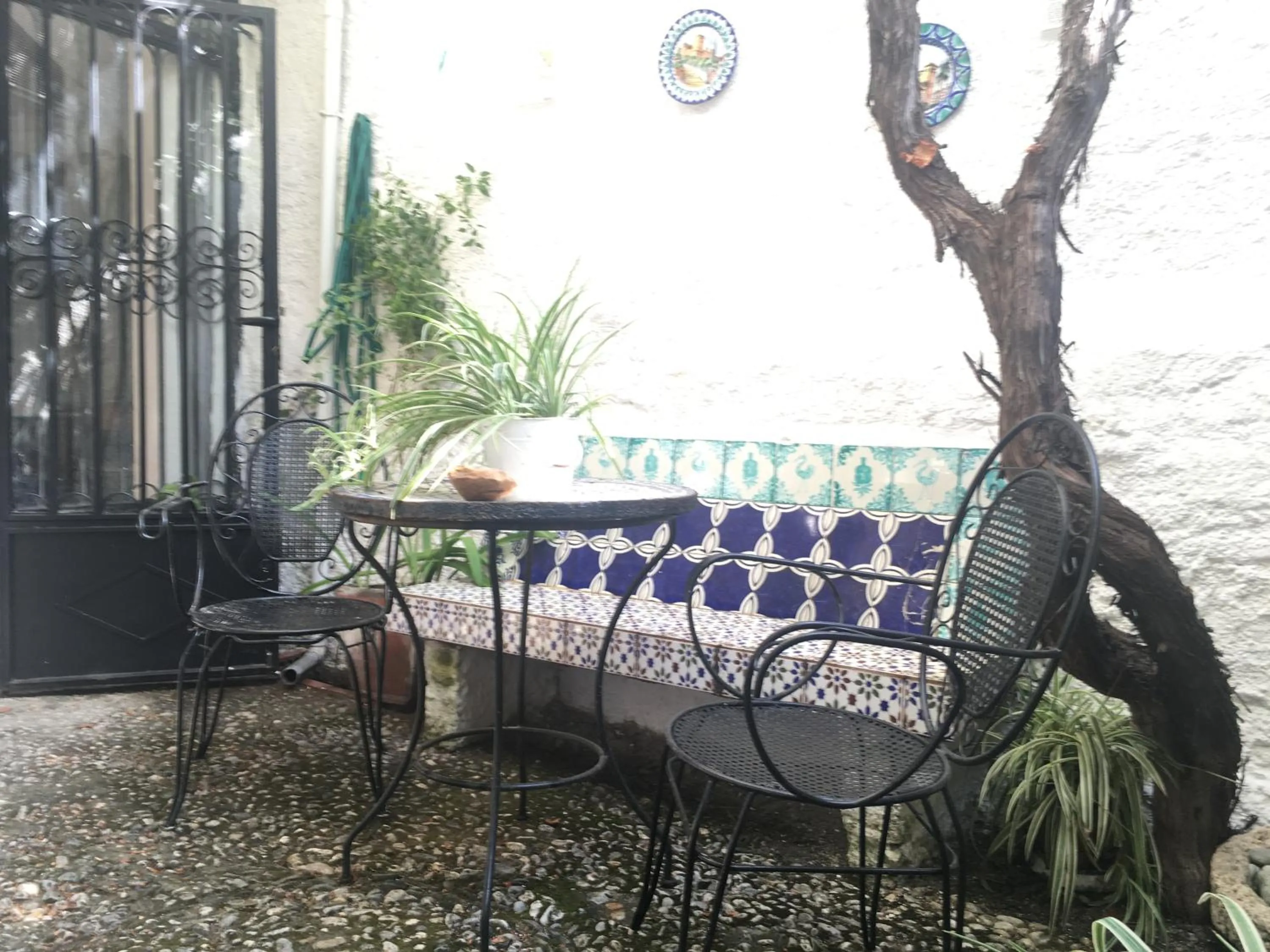 Garden in Patio Granada
