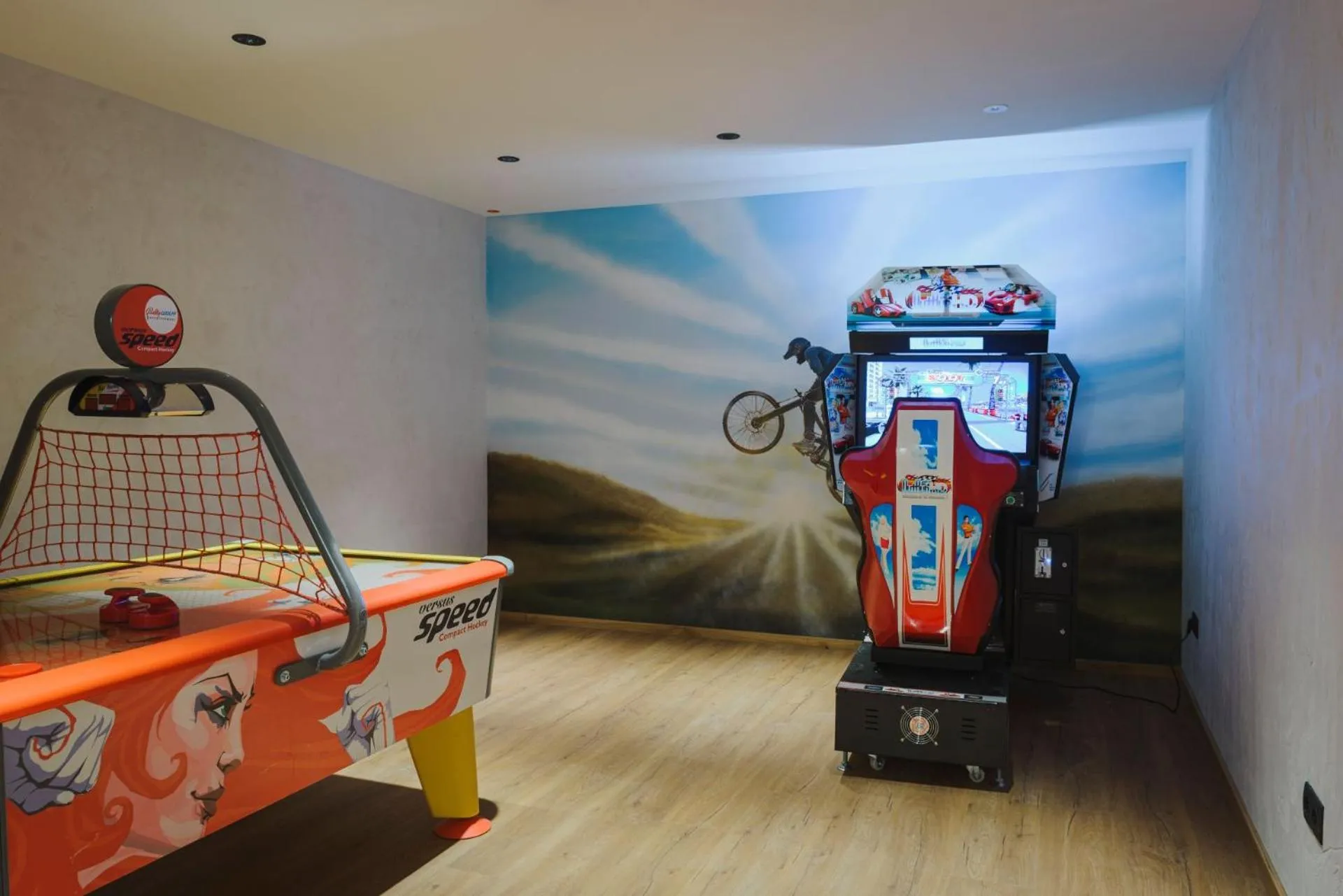 Game Room in Hotel Acherl