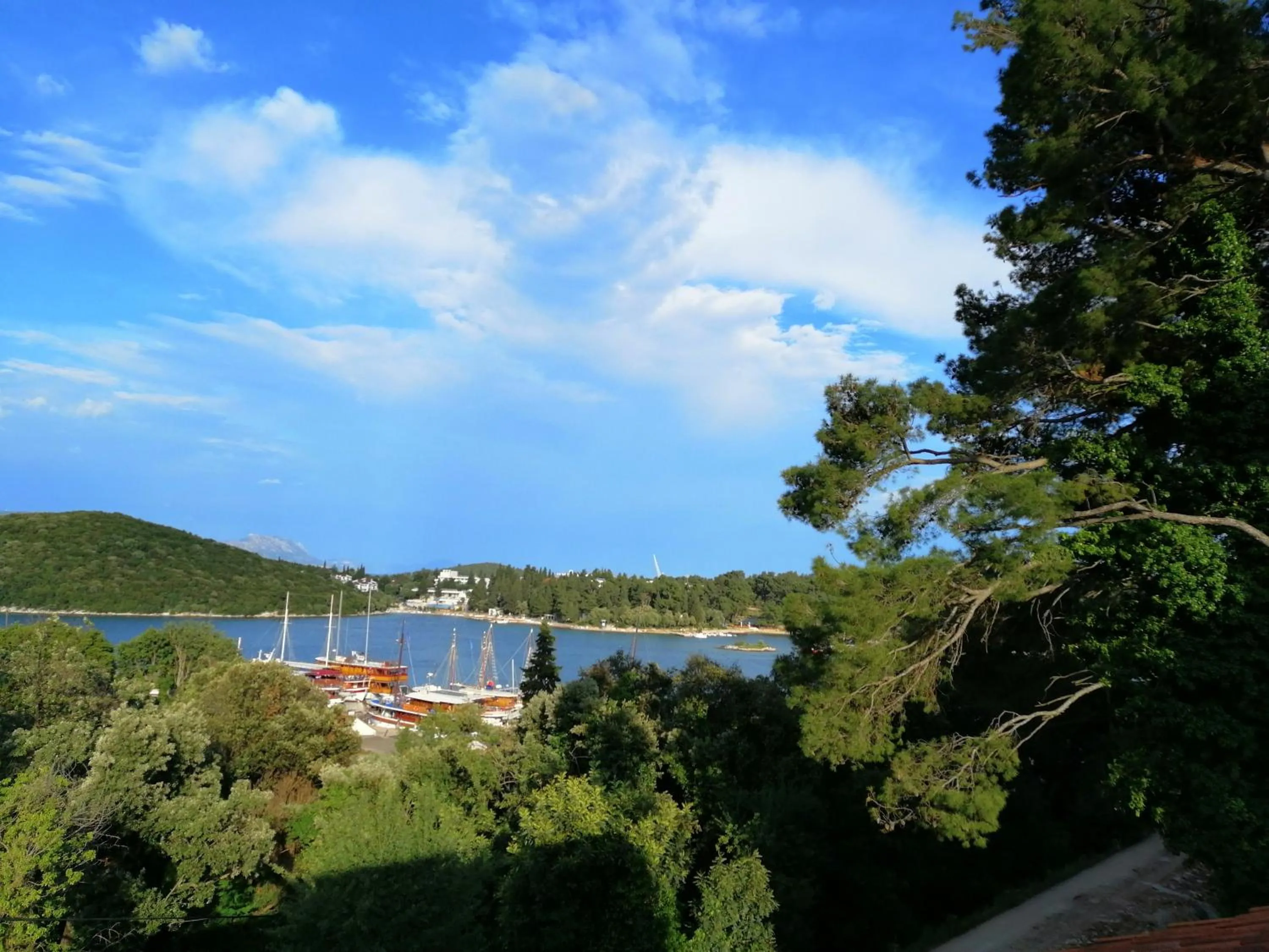 Apartment Markorcula