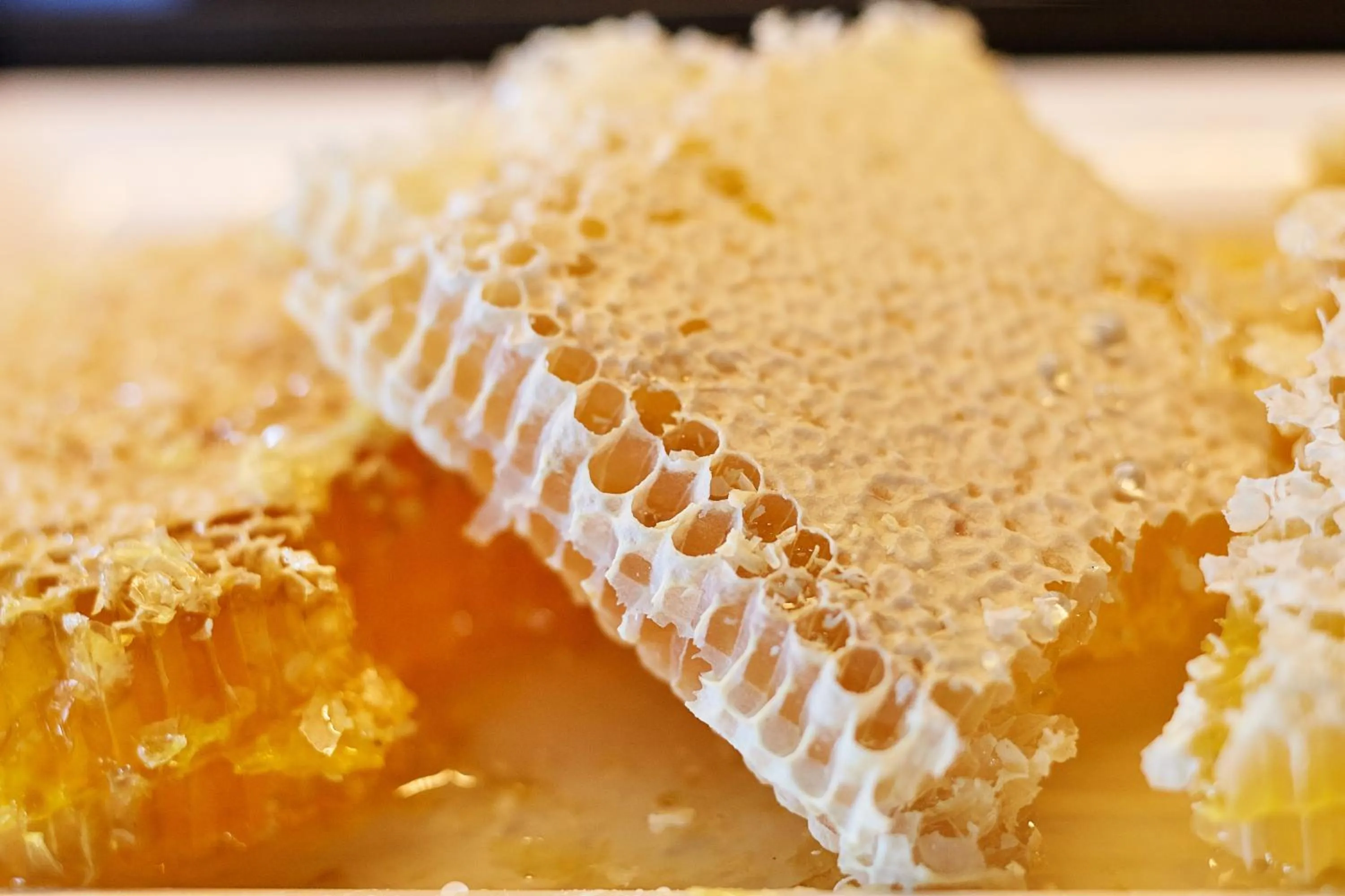 Buffet breakfast in LOISIUM Wine & Spa Hotel Langenlois