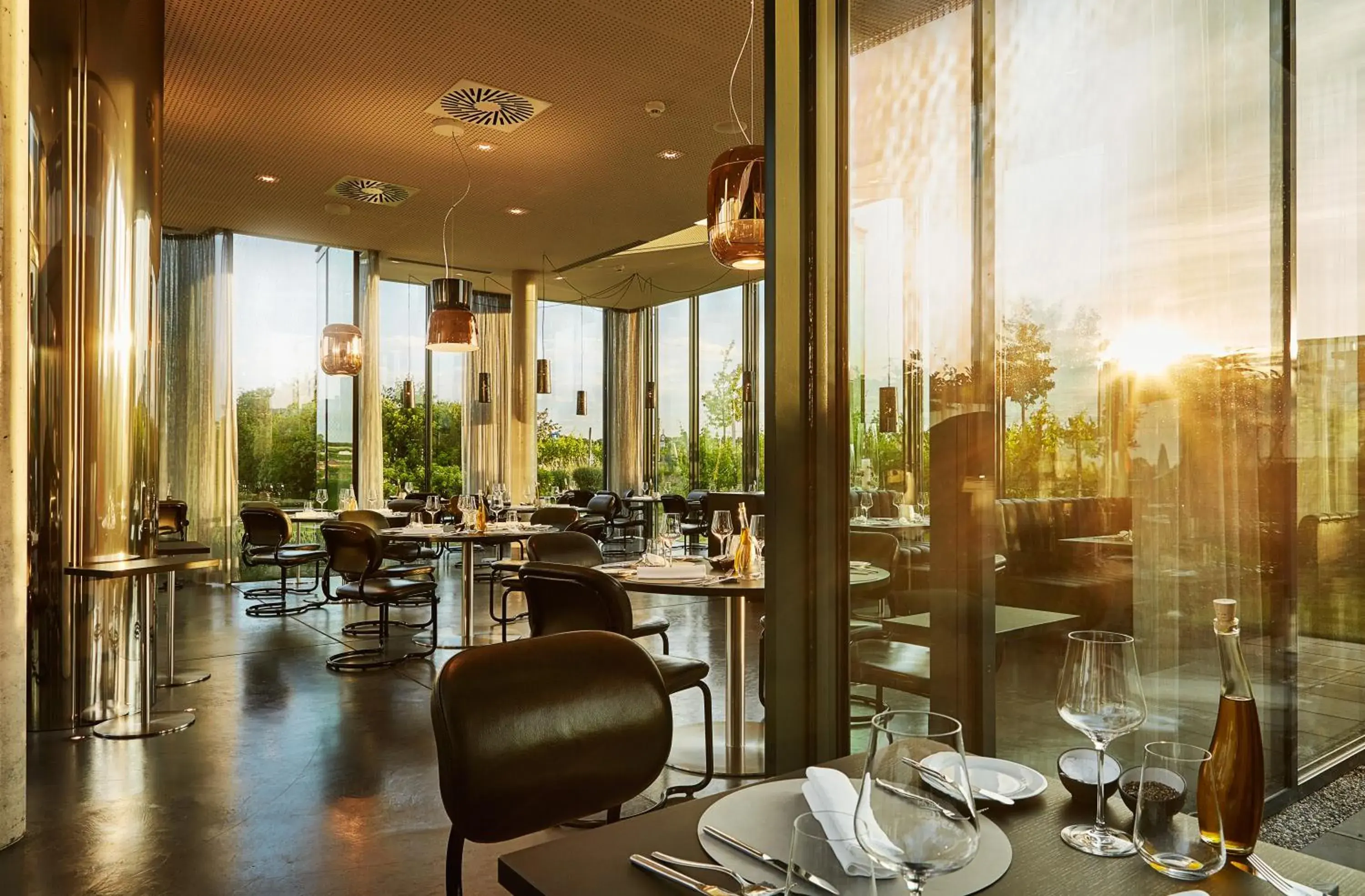 Restaurant/places to eat in LOISIUM Wine & Spa Hotel Langenlois Restaurant/places to eat in LOISIUM Wine & Spa Hotel Langenlois