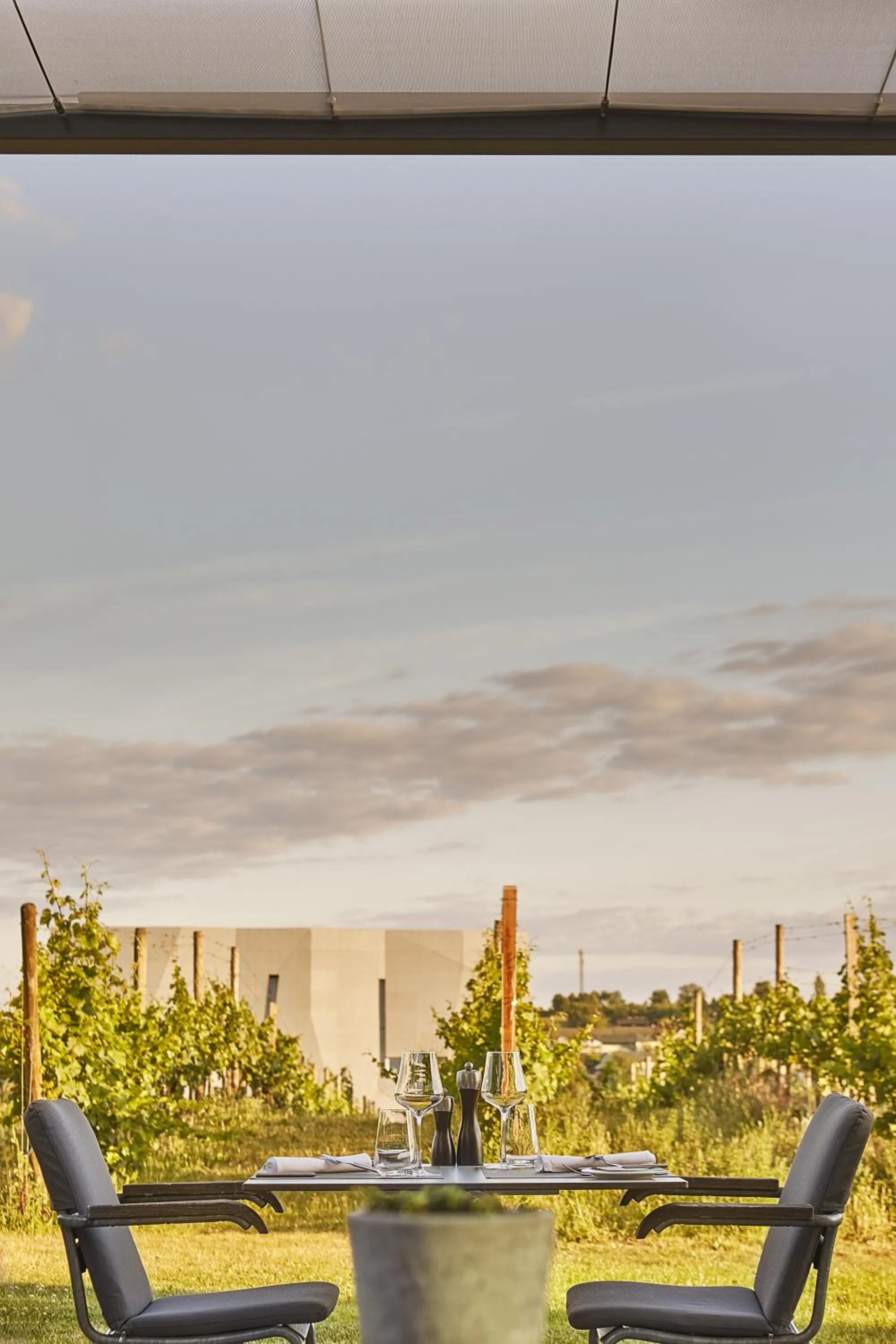 Balcony/Terrace in LOISIUM Wine & Spa Hotel Langenlois