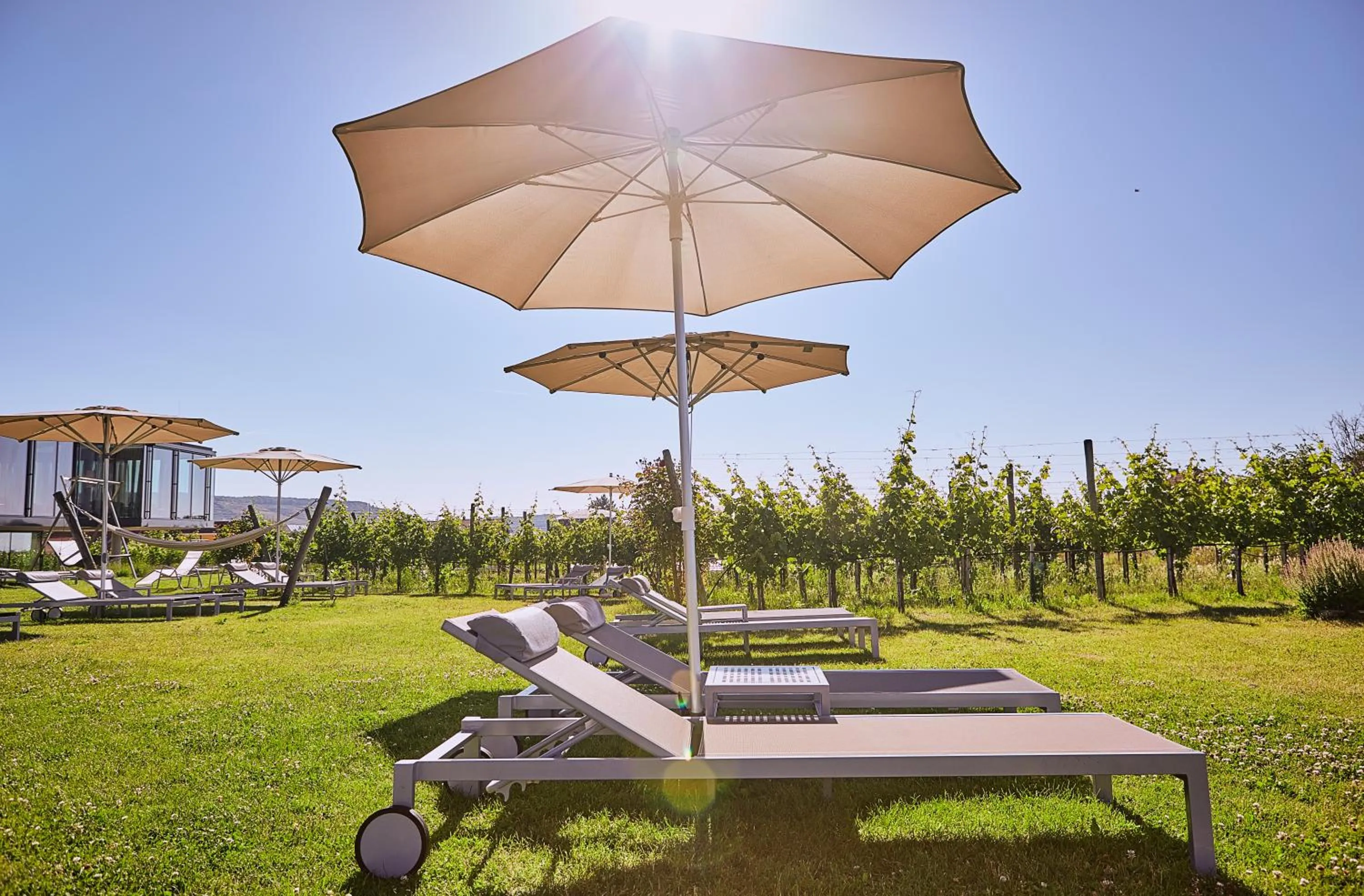 Garden in LOISIUM Wine & Spa Hotel Langenlois