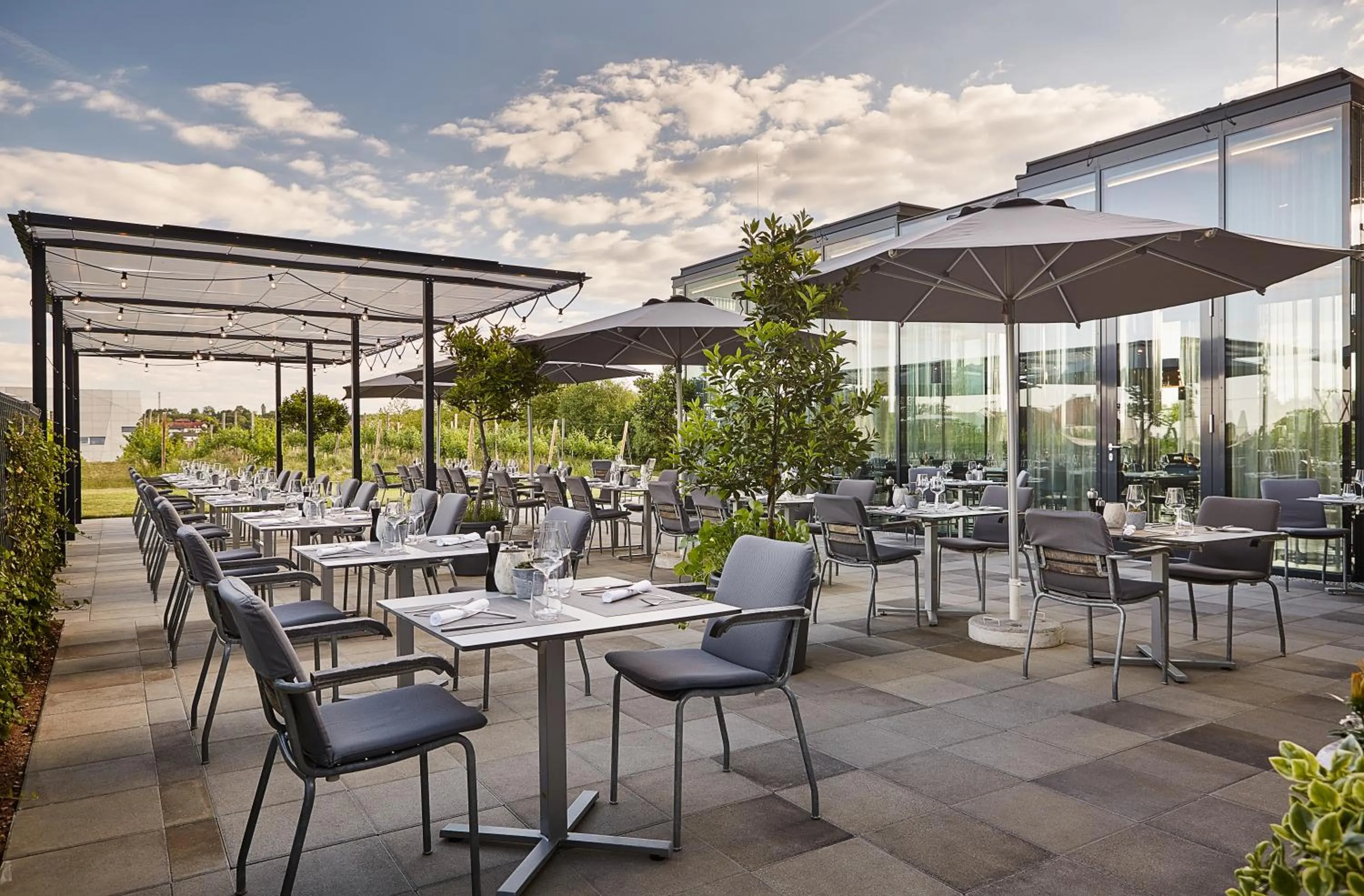 Restaurant/places to eat in LOISIUM Wine & Spa Hotel Langenlois