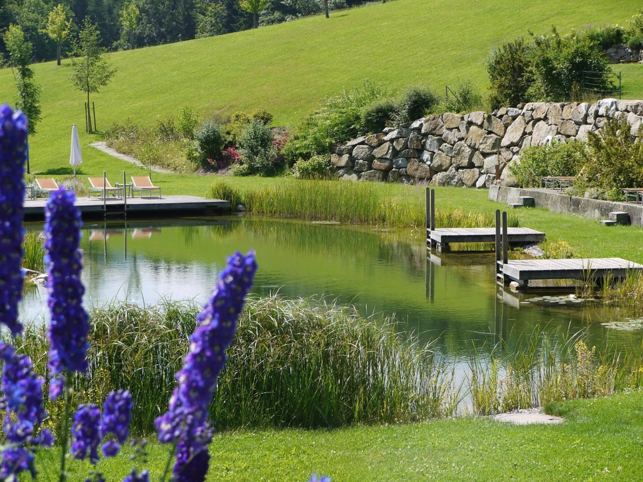 Garden in RelaxResort Kothmühle