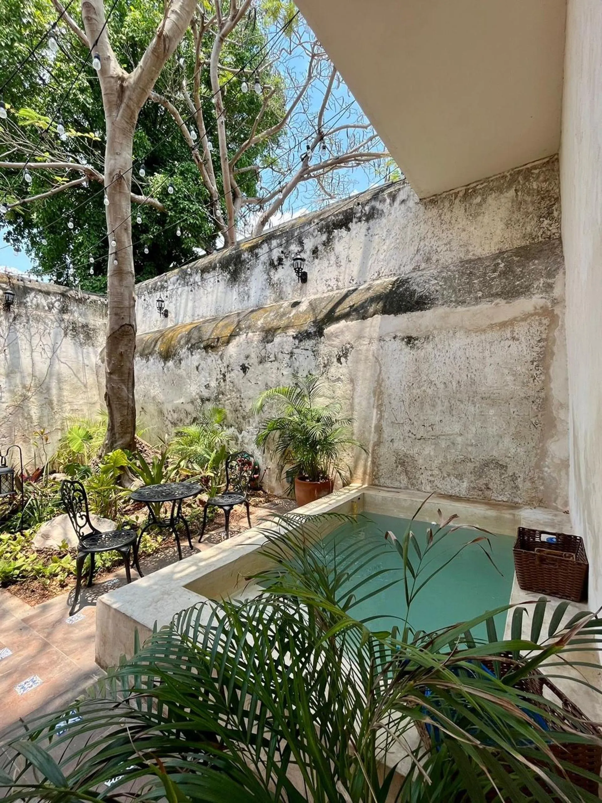 Garden in Hotel & Hostal Boutique Casa Garza