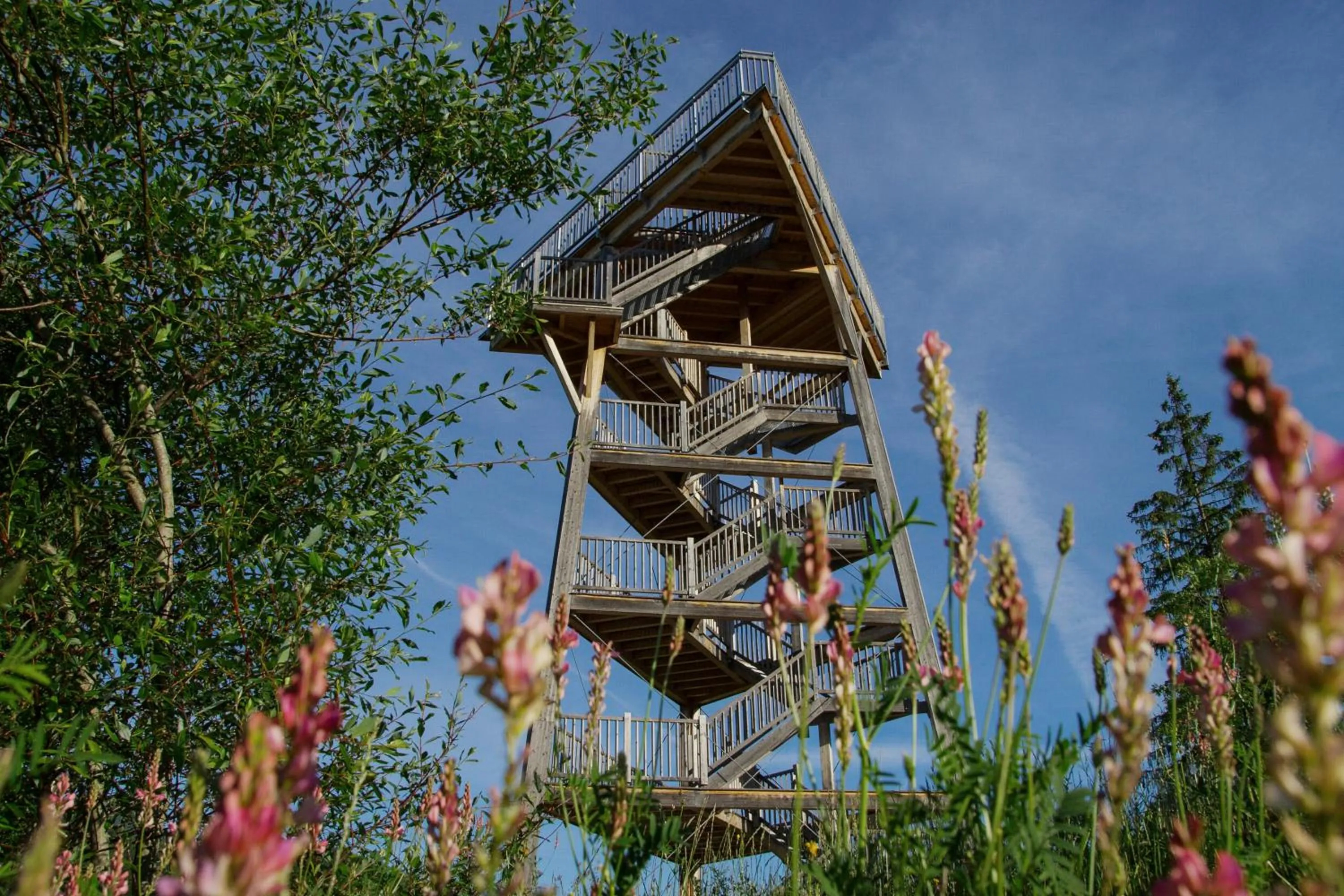 Activities in Hotel Gasthof Zum Schwanen