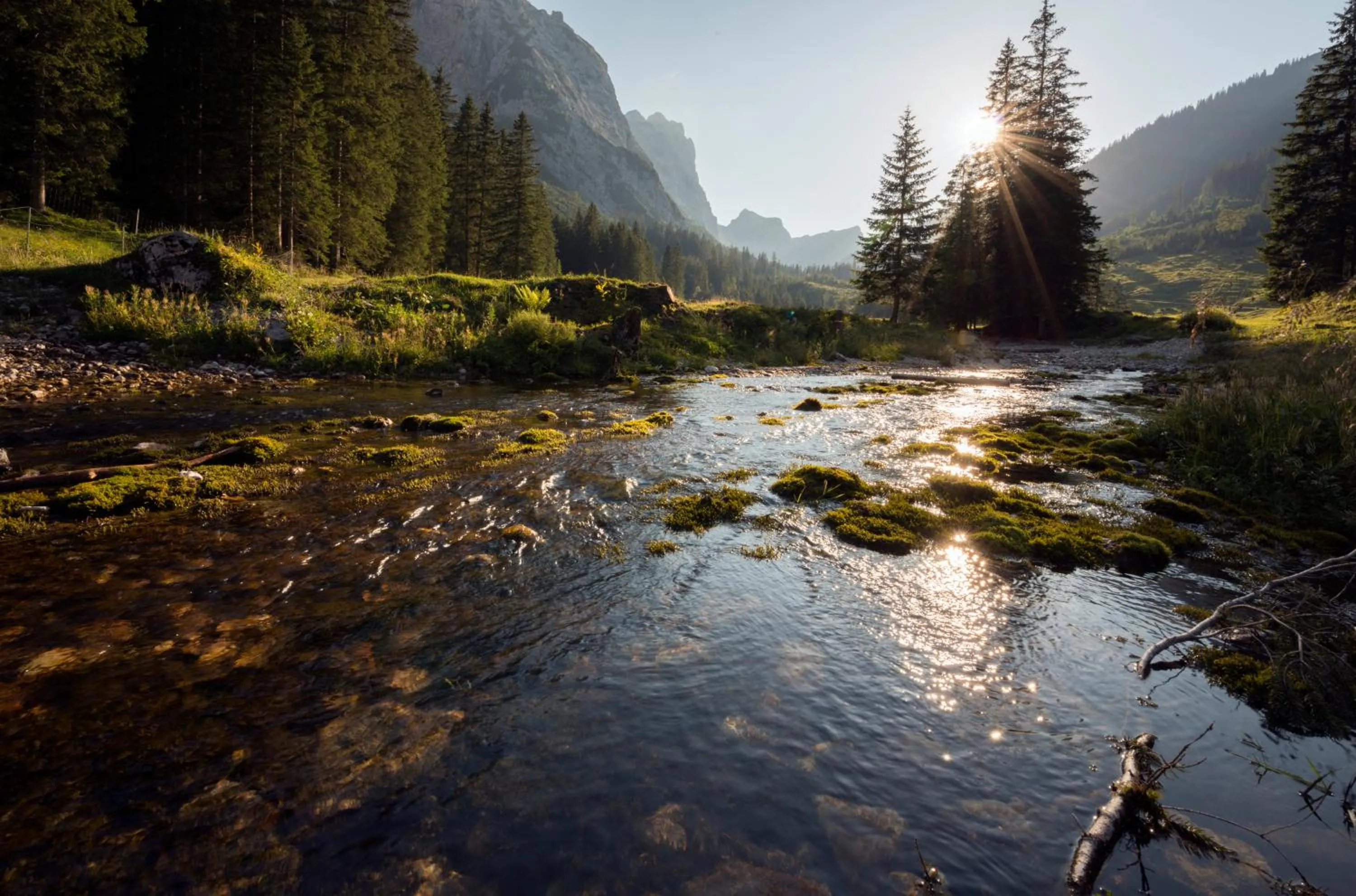 Natural landscape in Hotel Gasthof Zum Schwanen