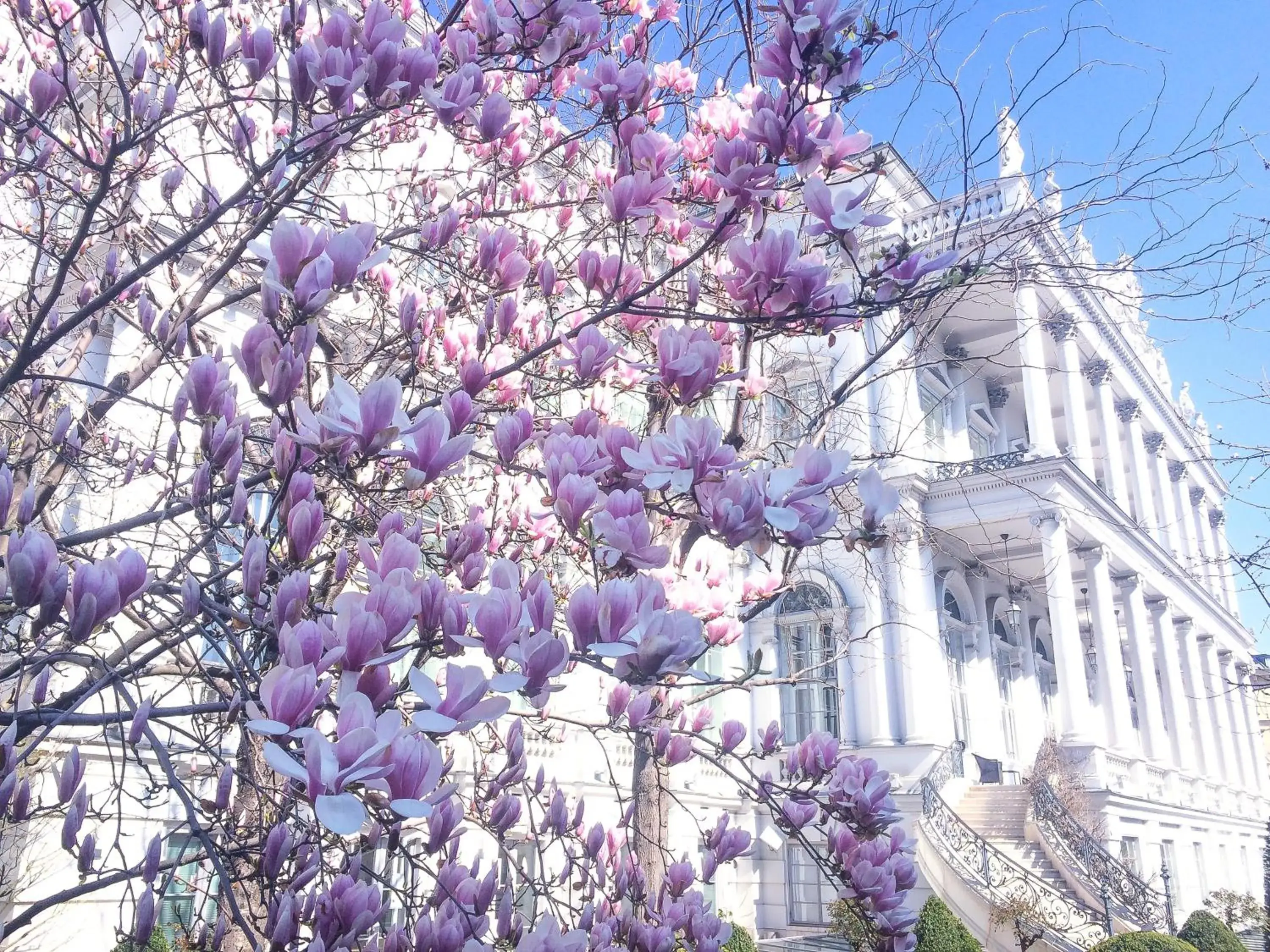 Facade/entrance in Palais Coburg Facade/entrance in Palais Coburg