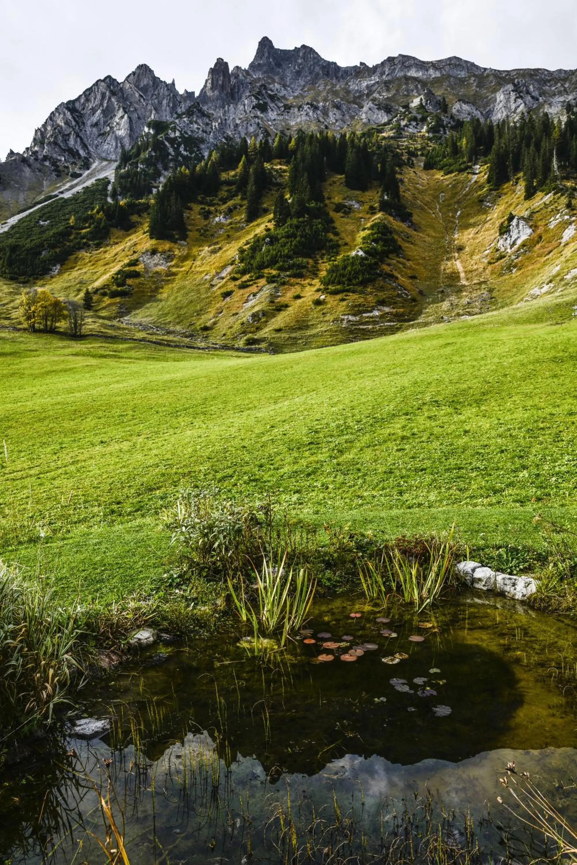 Natural landscape in Arlberg Stuben - das kleine, feine Hotel