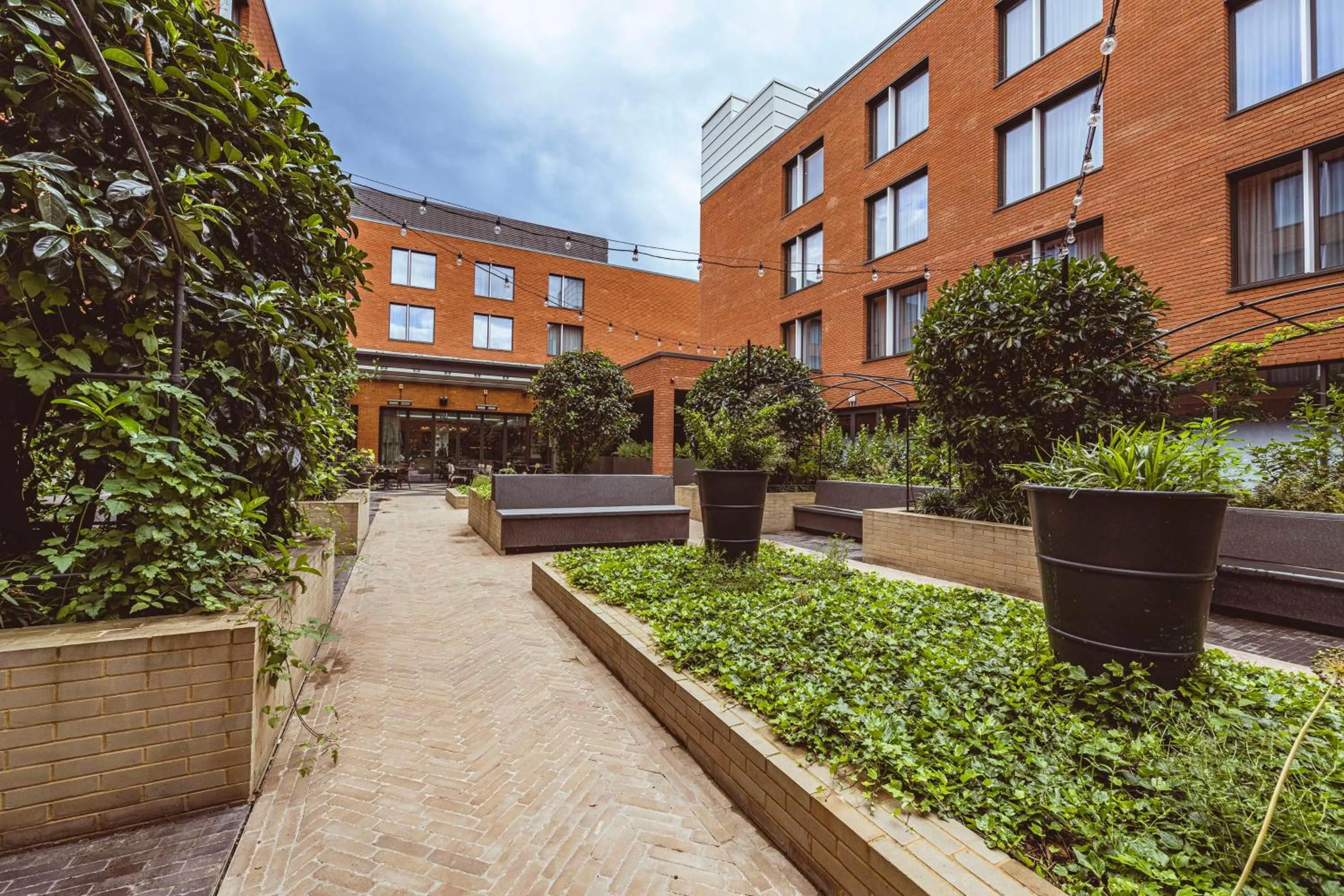 Garden in The Fellows House Cambridge, Curio Collection By Hilton