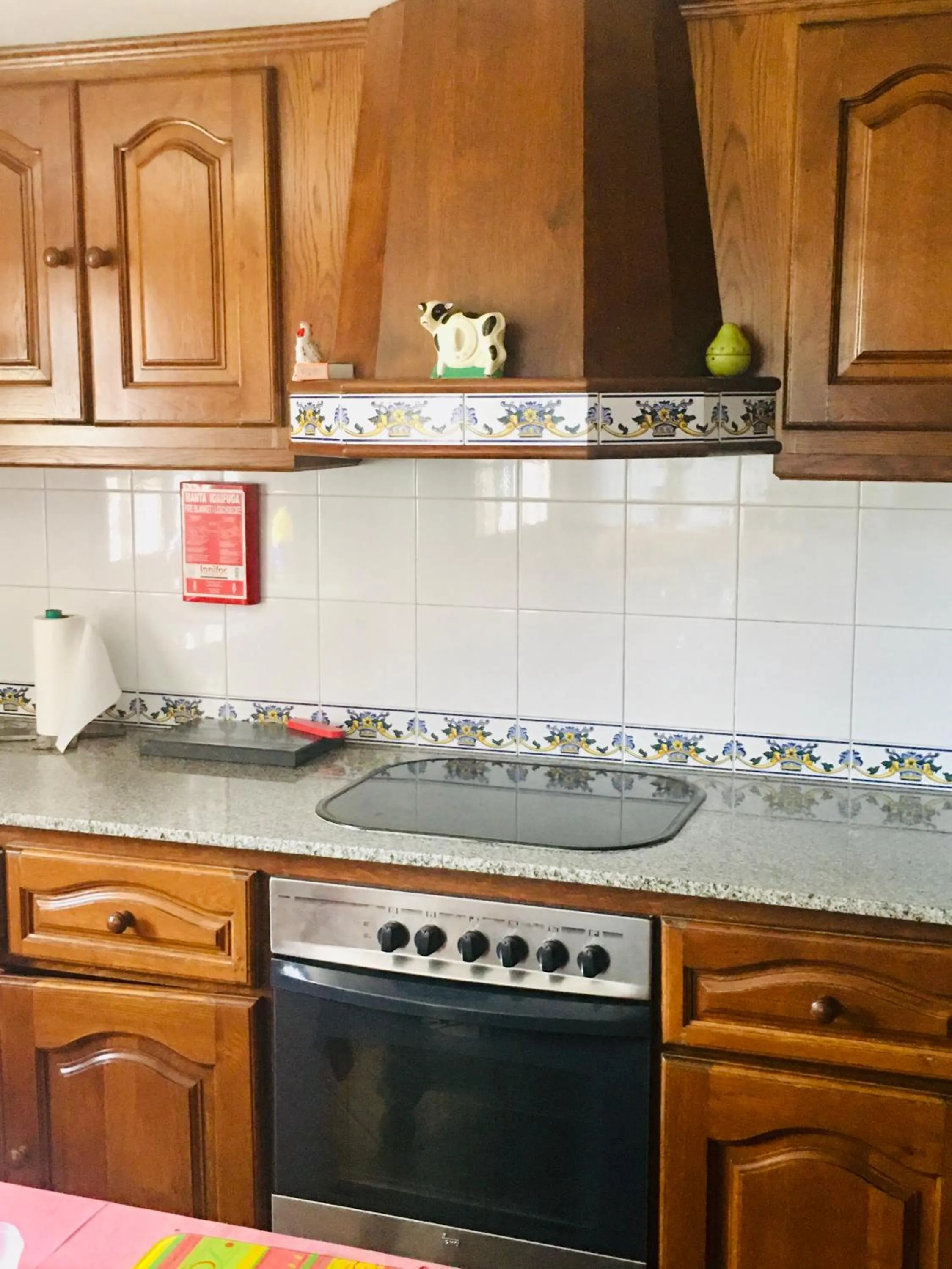 Kitchen or kitchenette in LA VINYA GRAN
