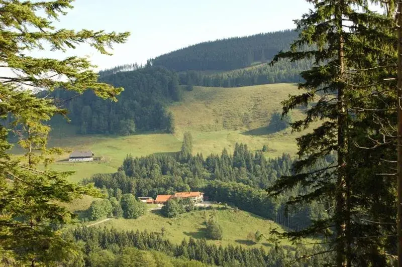 Berggasthaus Steinberg-Alm inkl. Chiemgaukarte Berggasthaus Steinberg-Alm inkl. Chiemgaukarte
