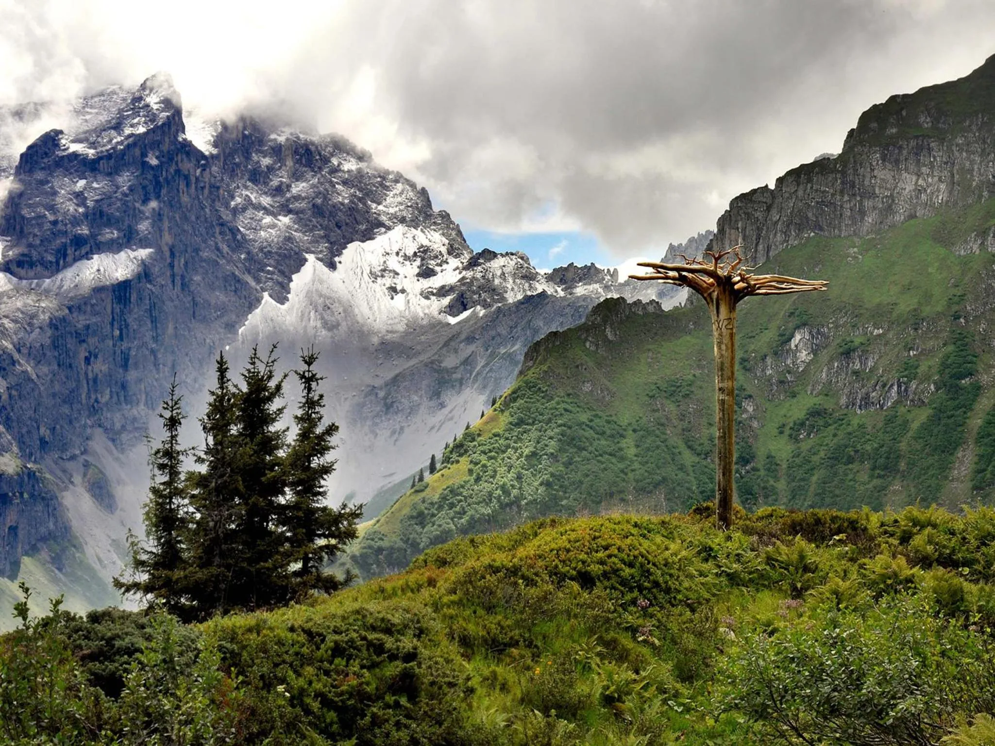 Natural landscape in Hotel Nova