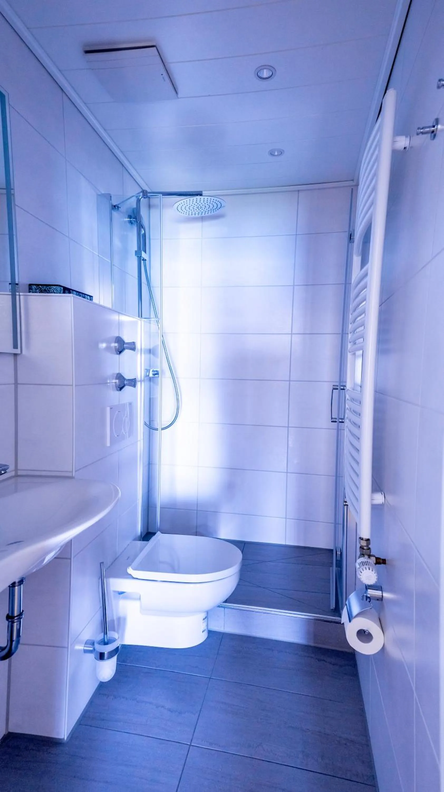 Shower in Seehotel ZUR MÜNZ