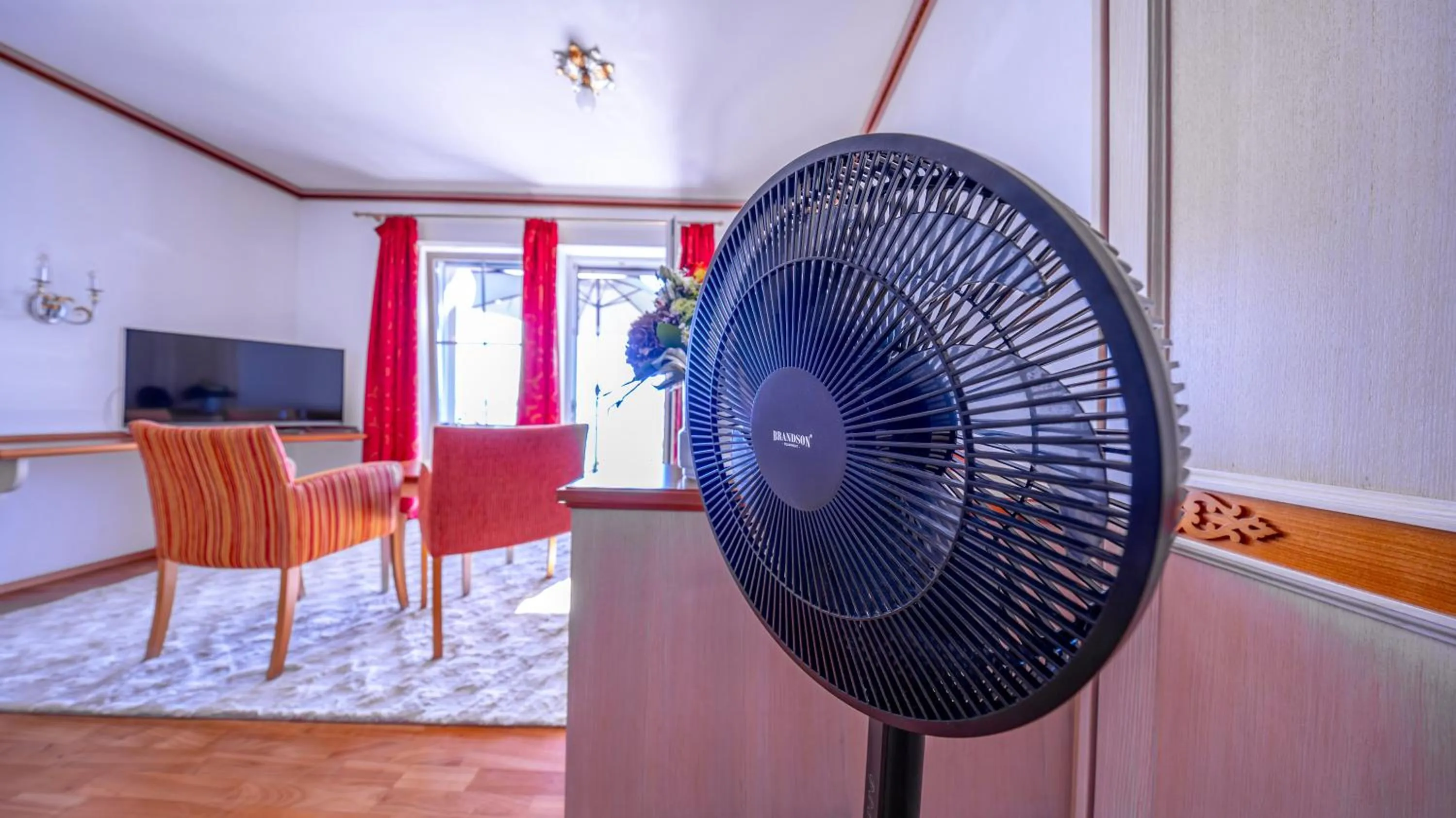 Communal lounge/ TV room in Seehotel ZUR MÜNZ