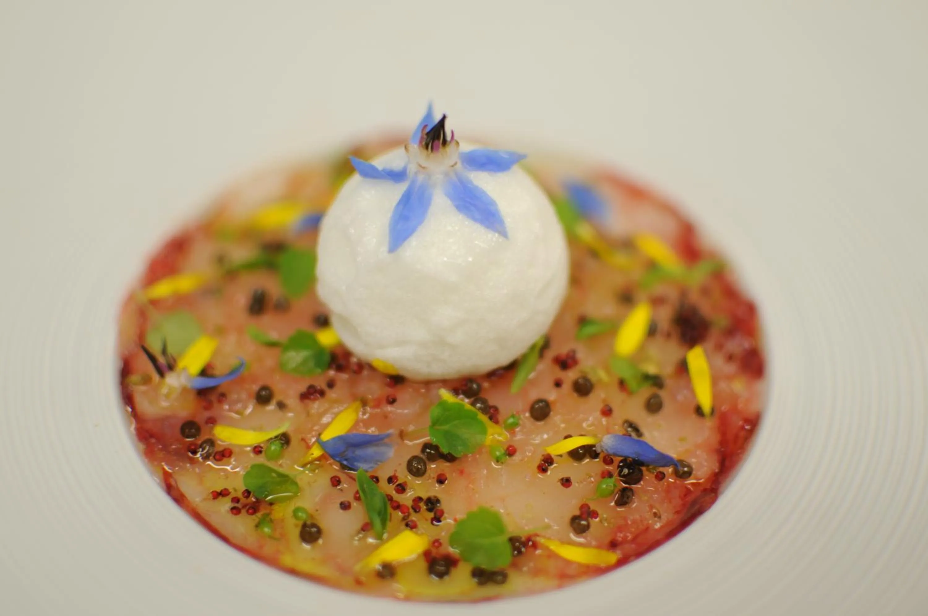 Food and drinks in Hôtel-Restaurant L'Aquarelle