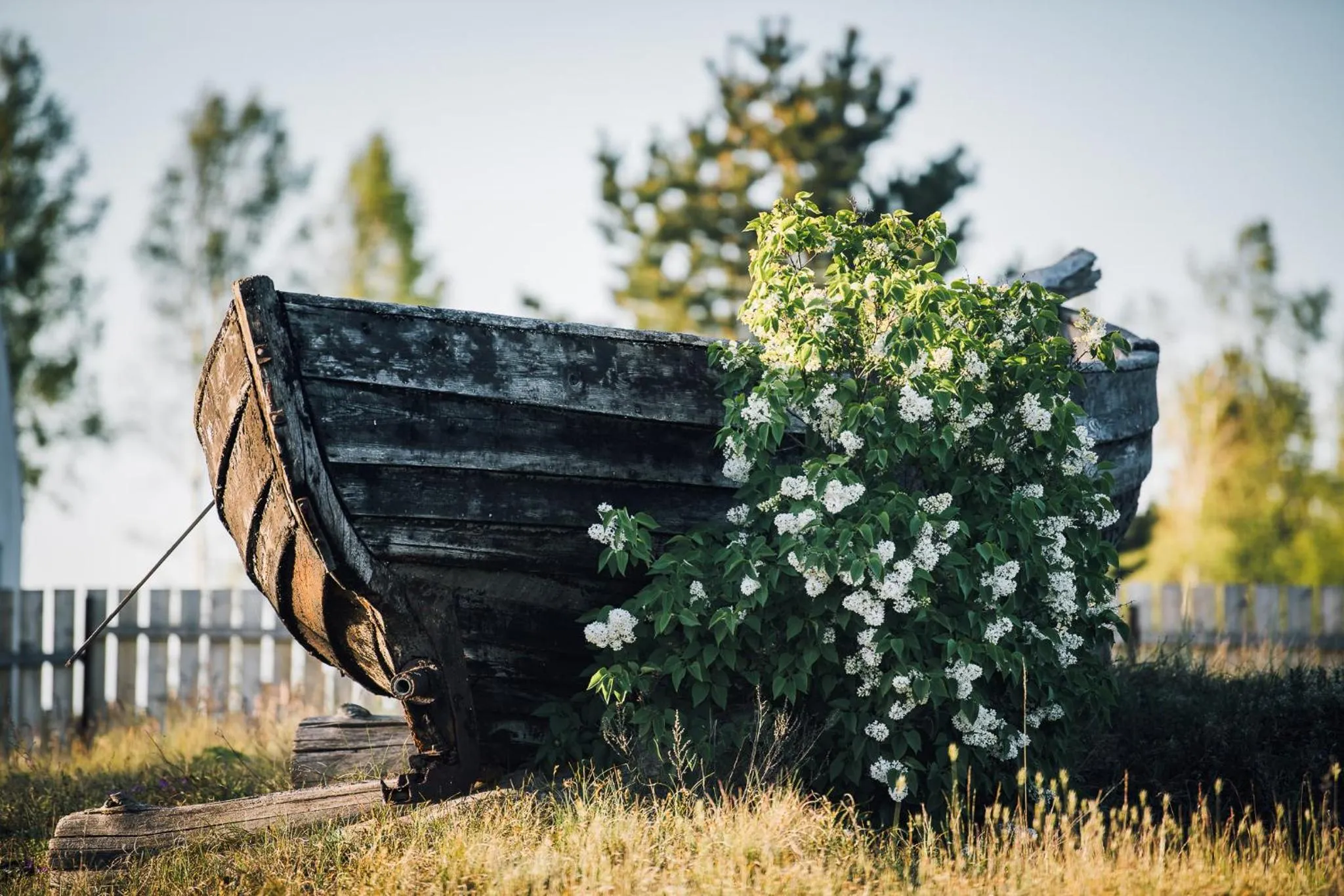 Nearby landmark in OTTO Hotel & Sun