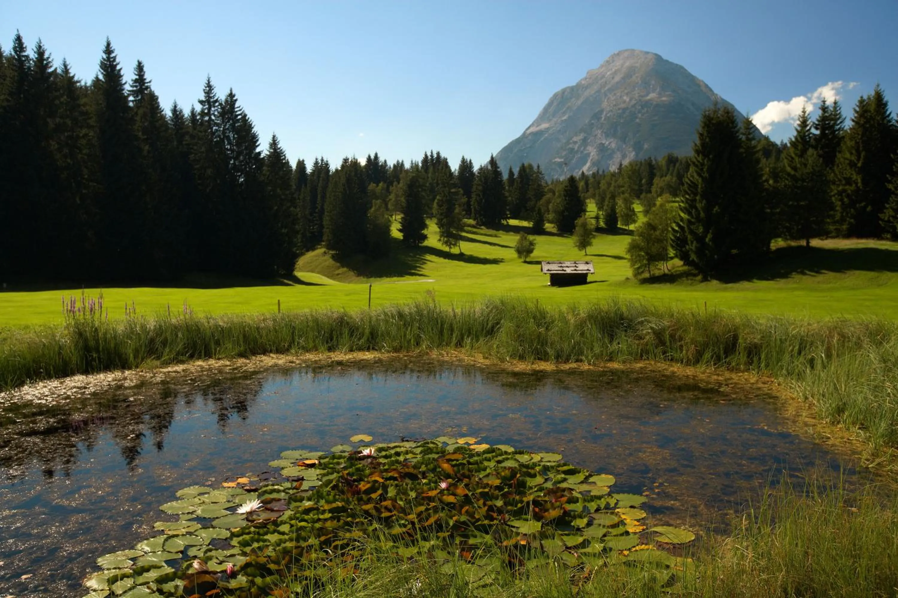 Natural landscape in Seefelds Bed & Breakfast