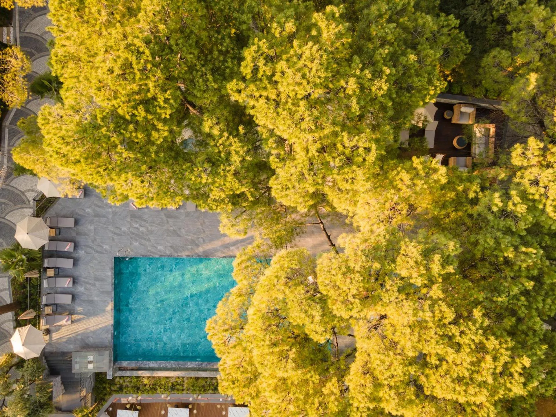 Day in Unique Life Style Hotel