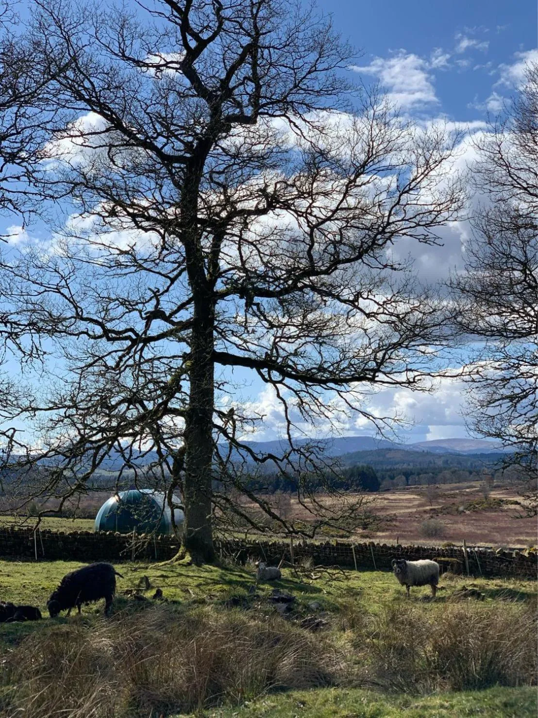 Property building in Cardross Estate Glamping Pods