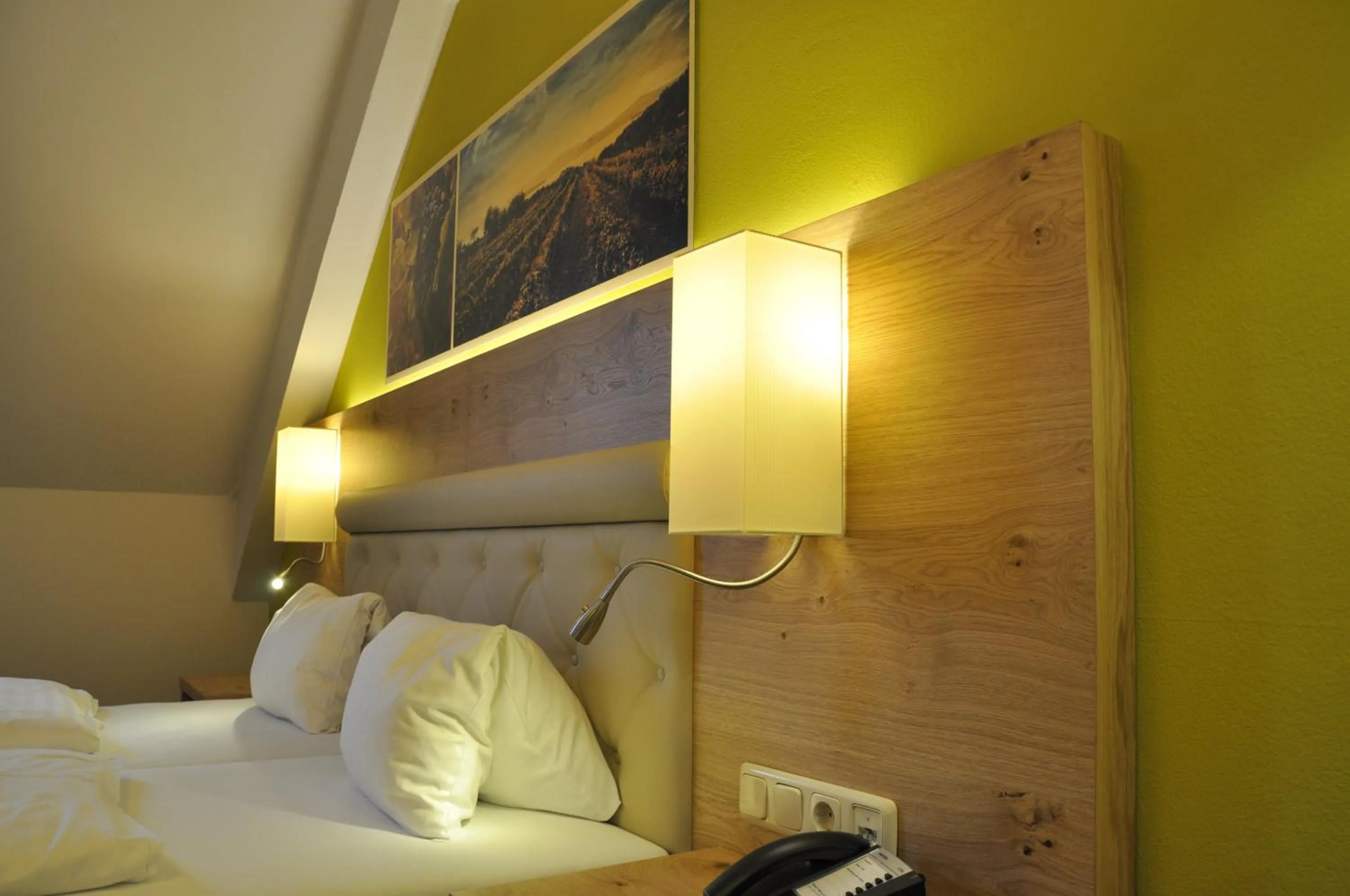 Double Room (1 Adult) in Hotel Restaurant zur Post