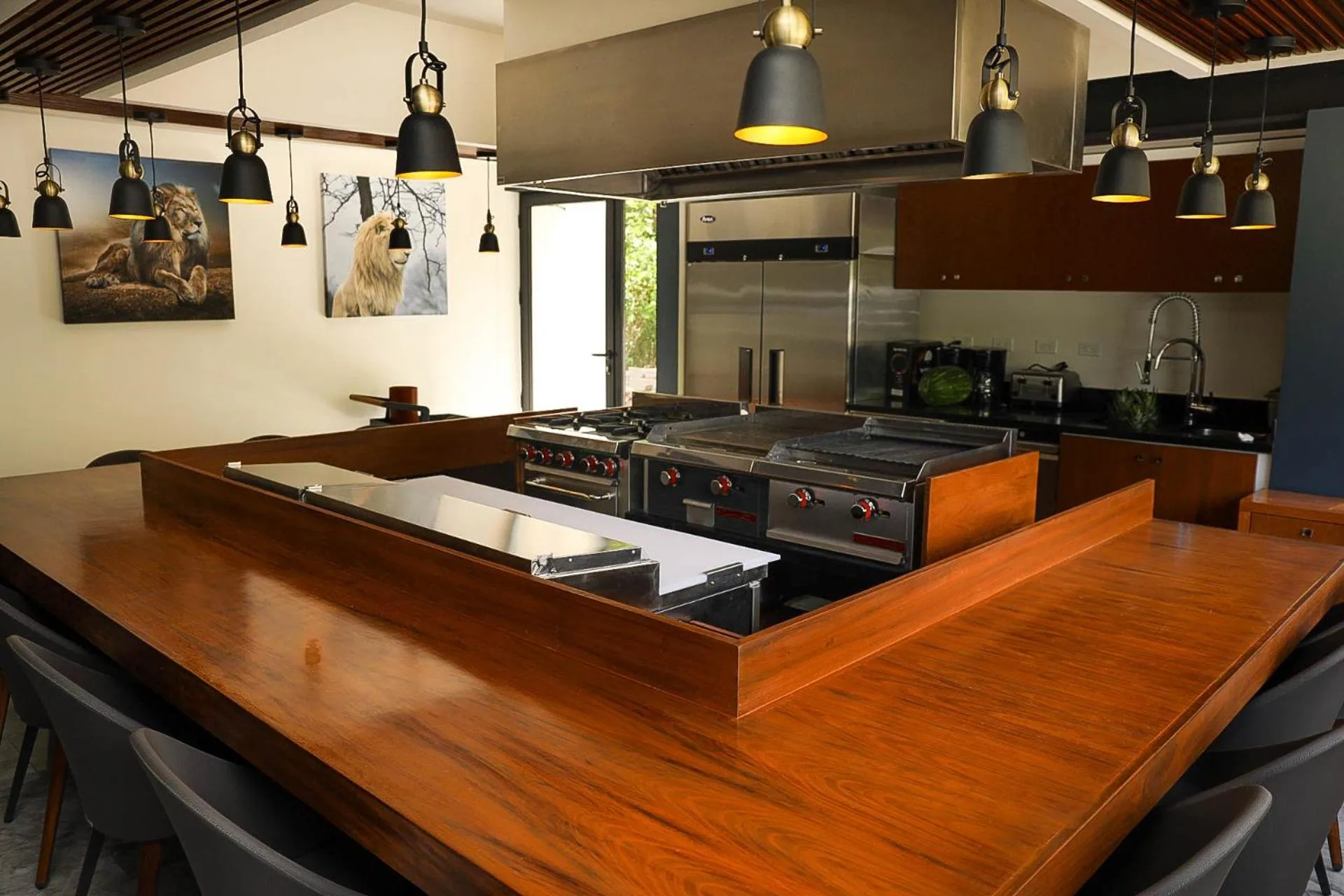 Kitchen or kitchenette in Panther Bay Boutique Hotel