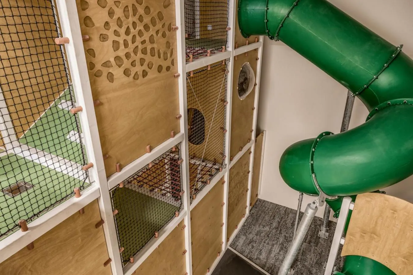 Activities in Familienhotel Christoph