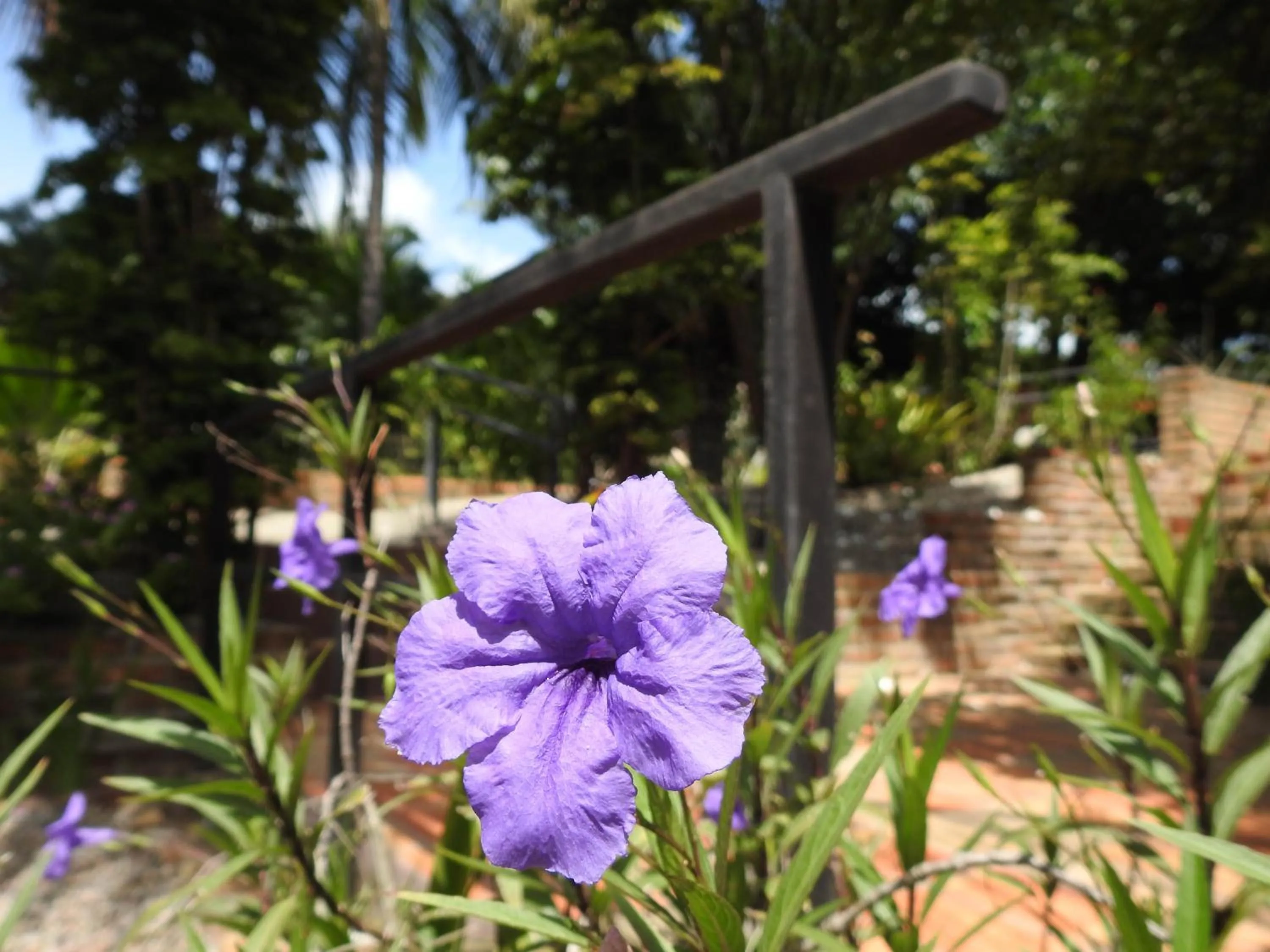 Facade/entrance in Pousada Morada dos Ventos