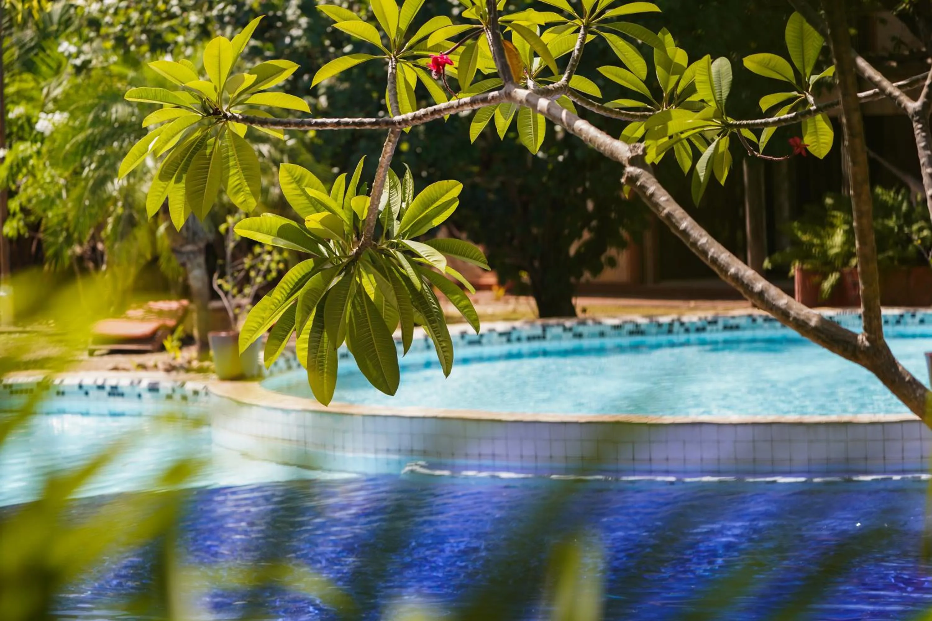 Garden in Pousada Morada dos Ventos