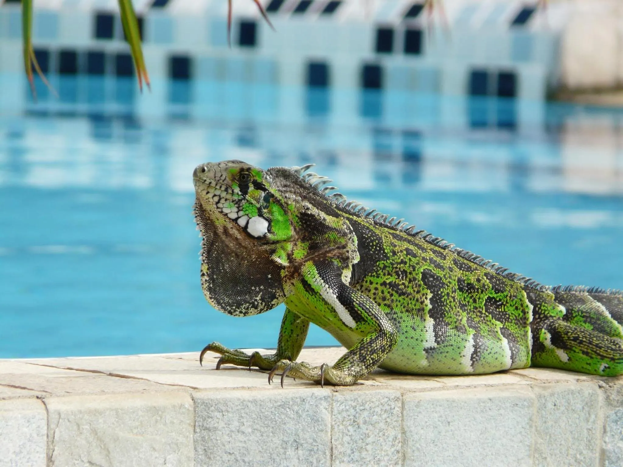 Day in Pousada Morada dos Ventos