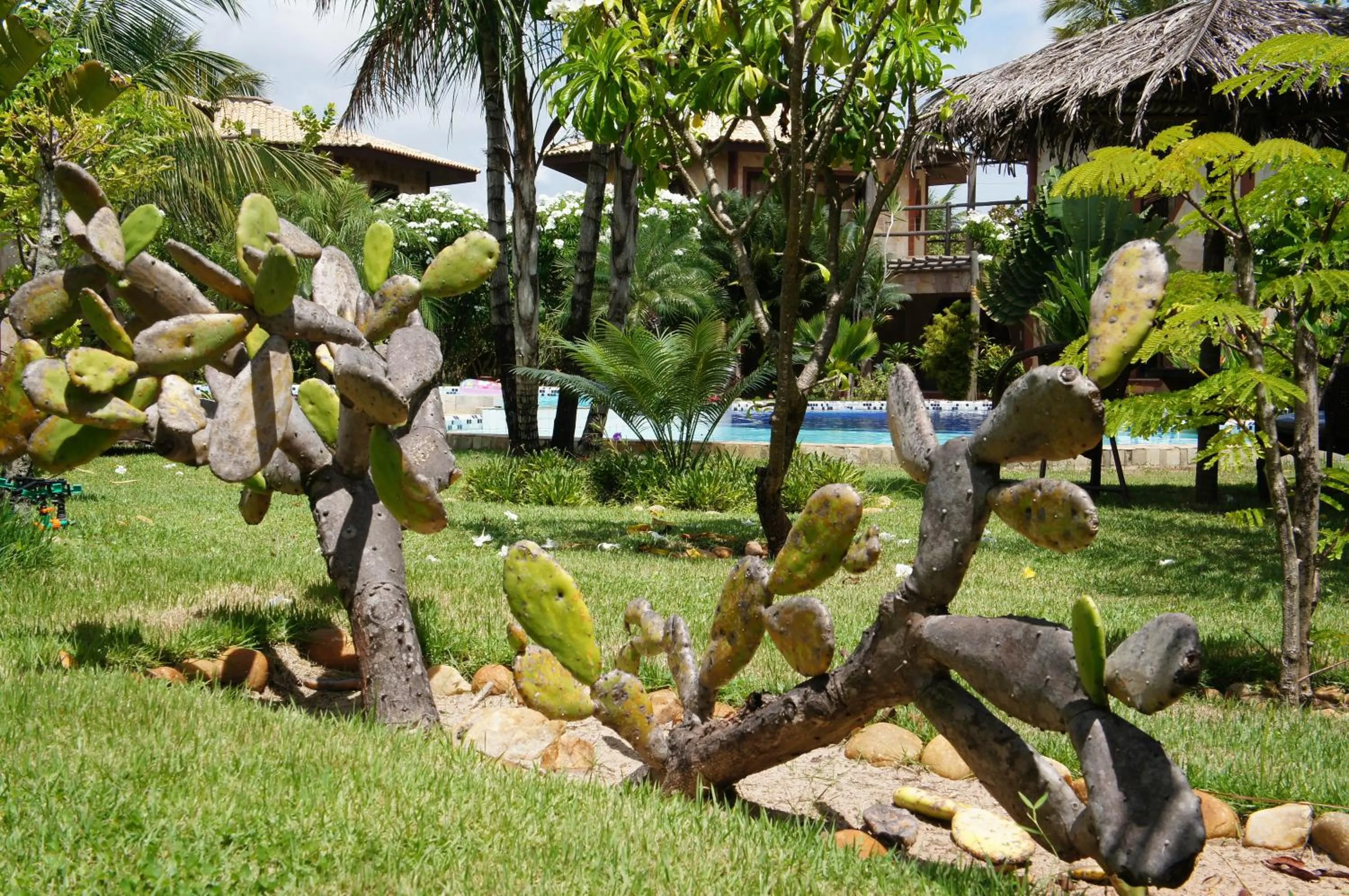 Garden in Pousada Morada dos Ventos