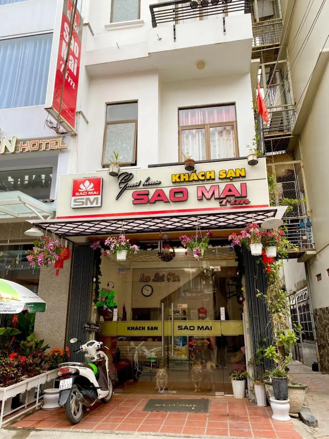 Property building in Sao Mai Tim Hotel Property building in Sao Mai Tim Hotel