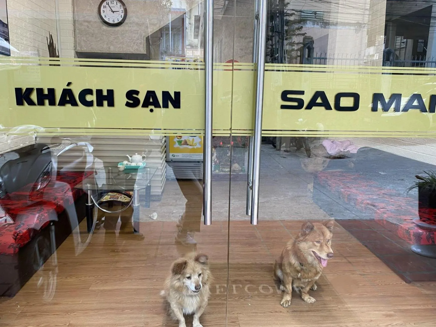 Property building in Sao Mai Tim Hotel