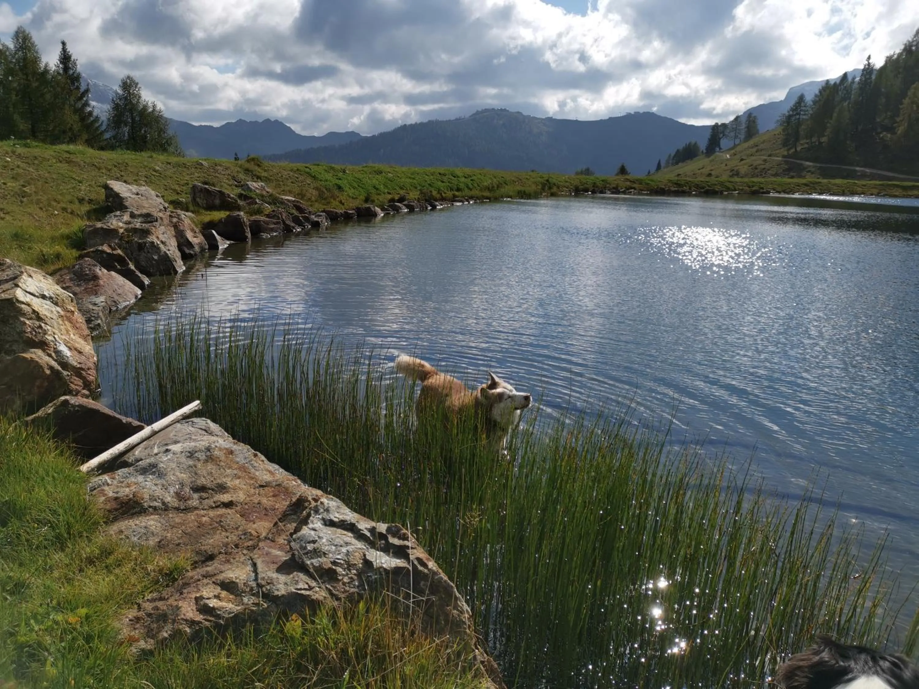 Natural landscape in Hotel Kärntnerhof & Suiten 3-Stern Superior