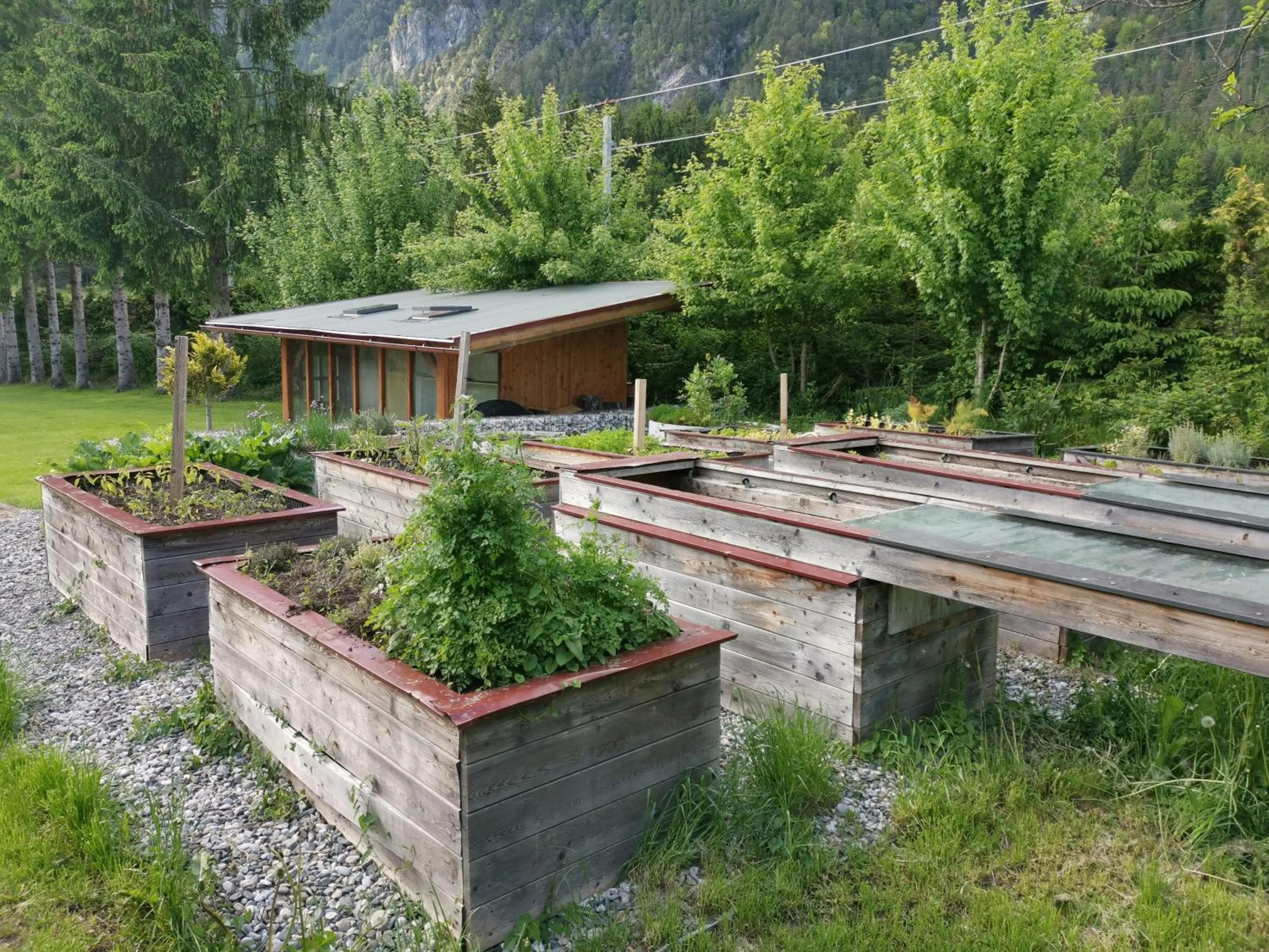 Garden in Hotel Kärntnerhof & Suiten 3-Stern Superior