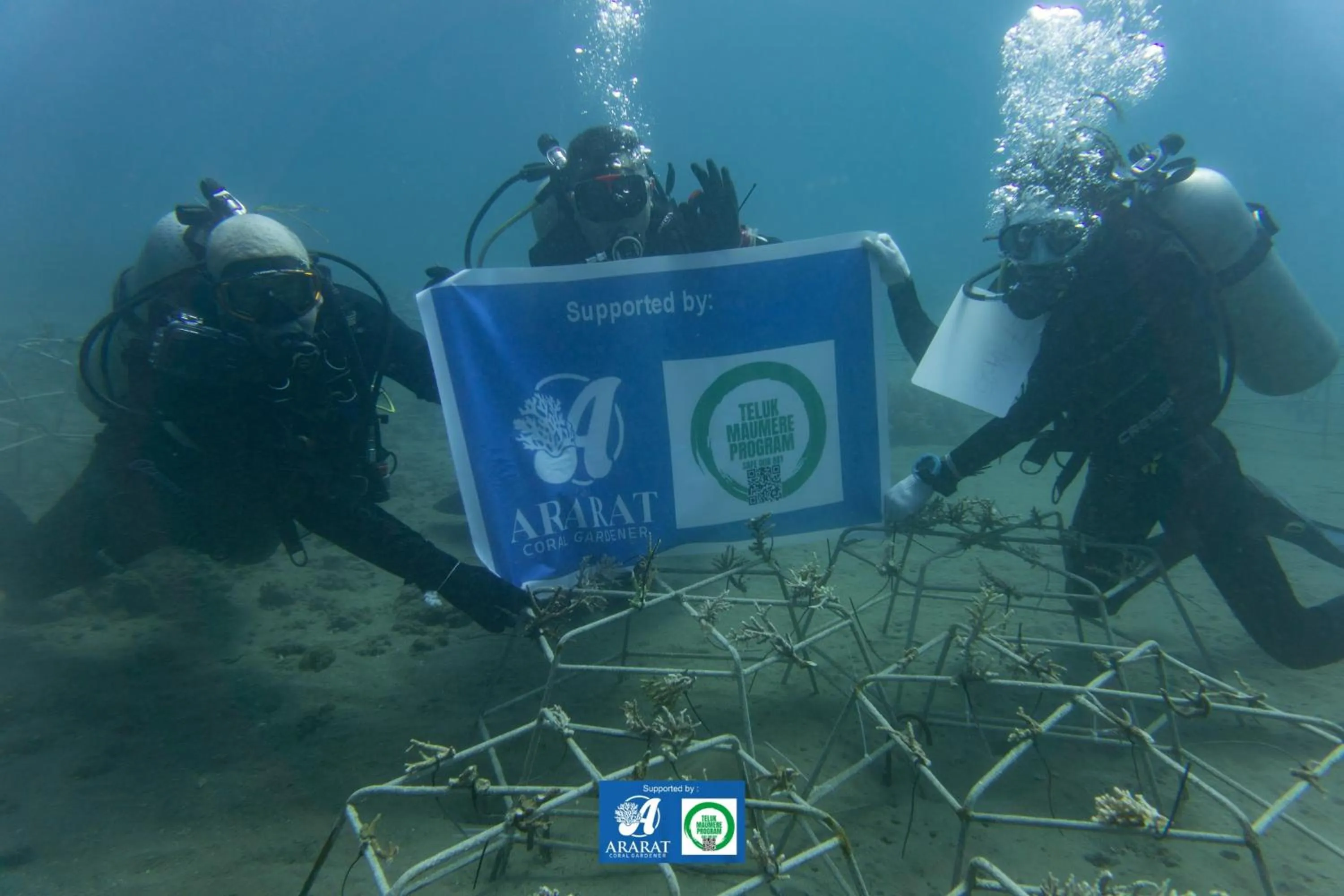 Snorkeling in Budi Sun Resort, Flores, Maumere