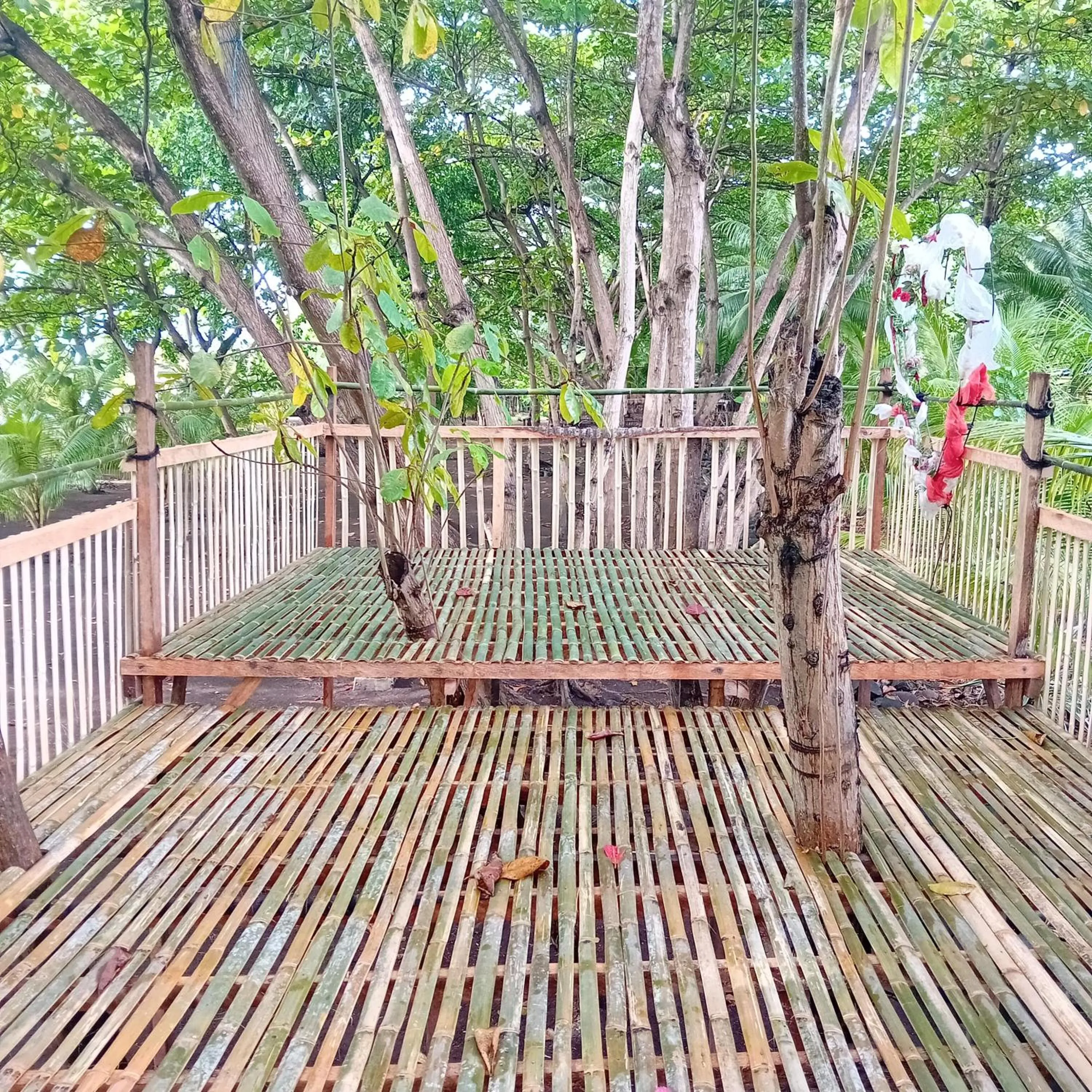 Garden in Budi Sun Resort, Flores, Maumere