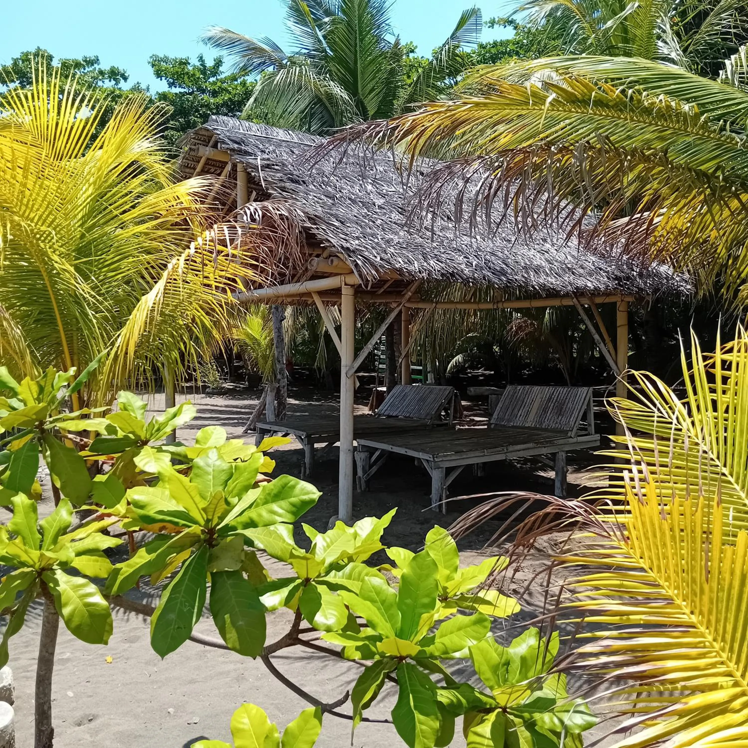 Beach in Budi Sun Resort, Flores, Maumere