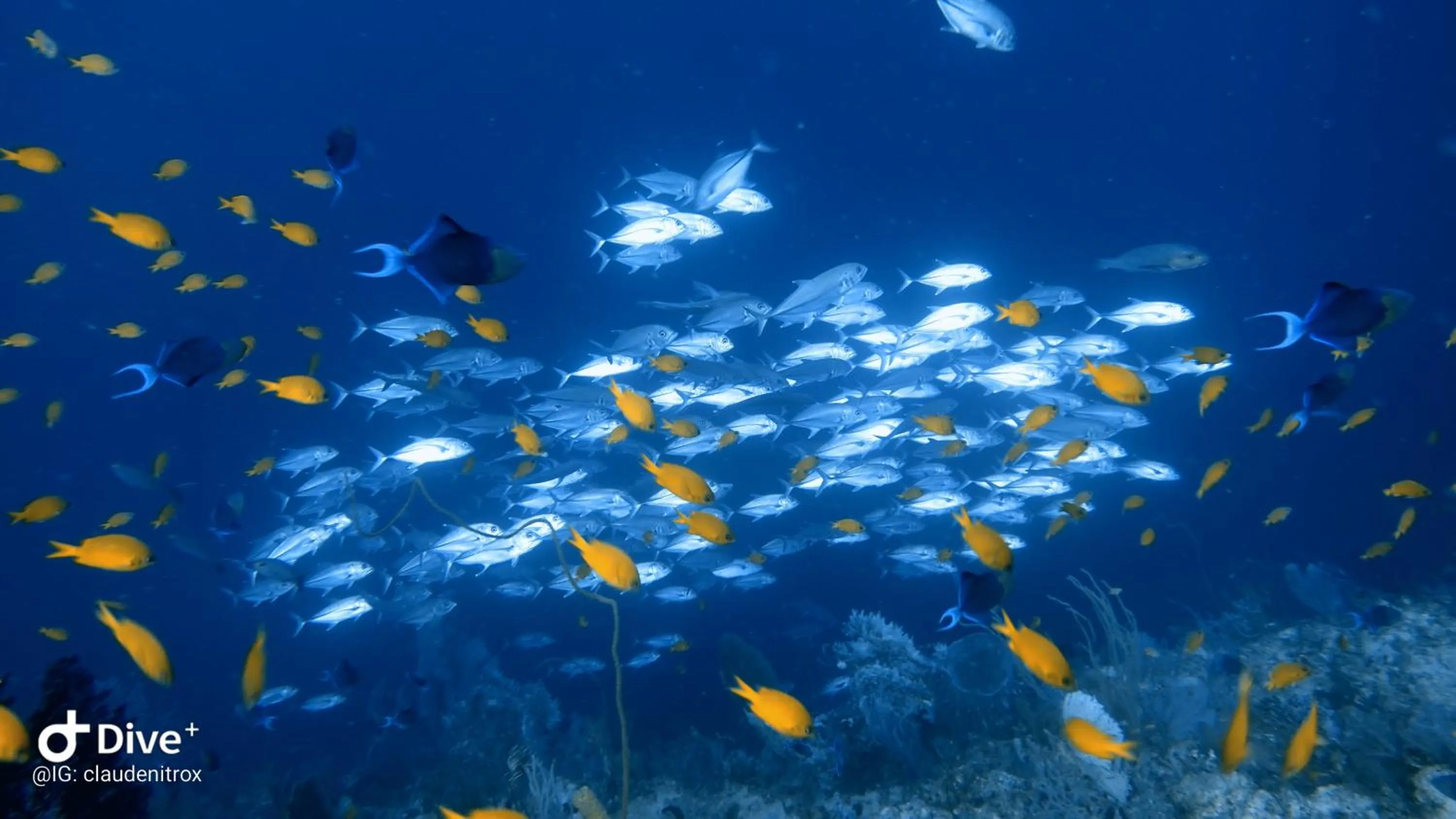 Activities in Budi Sun Resort, Flores, Maumere