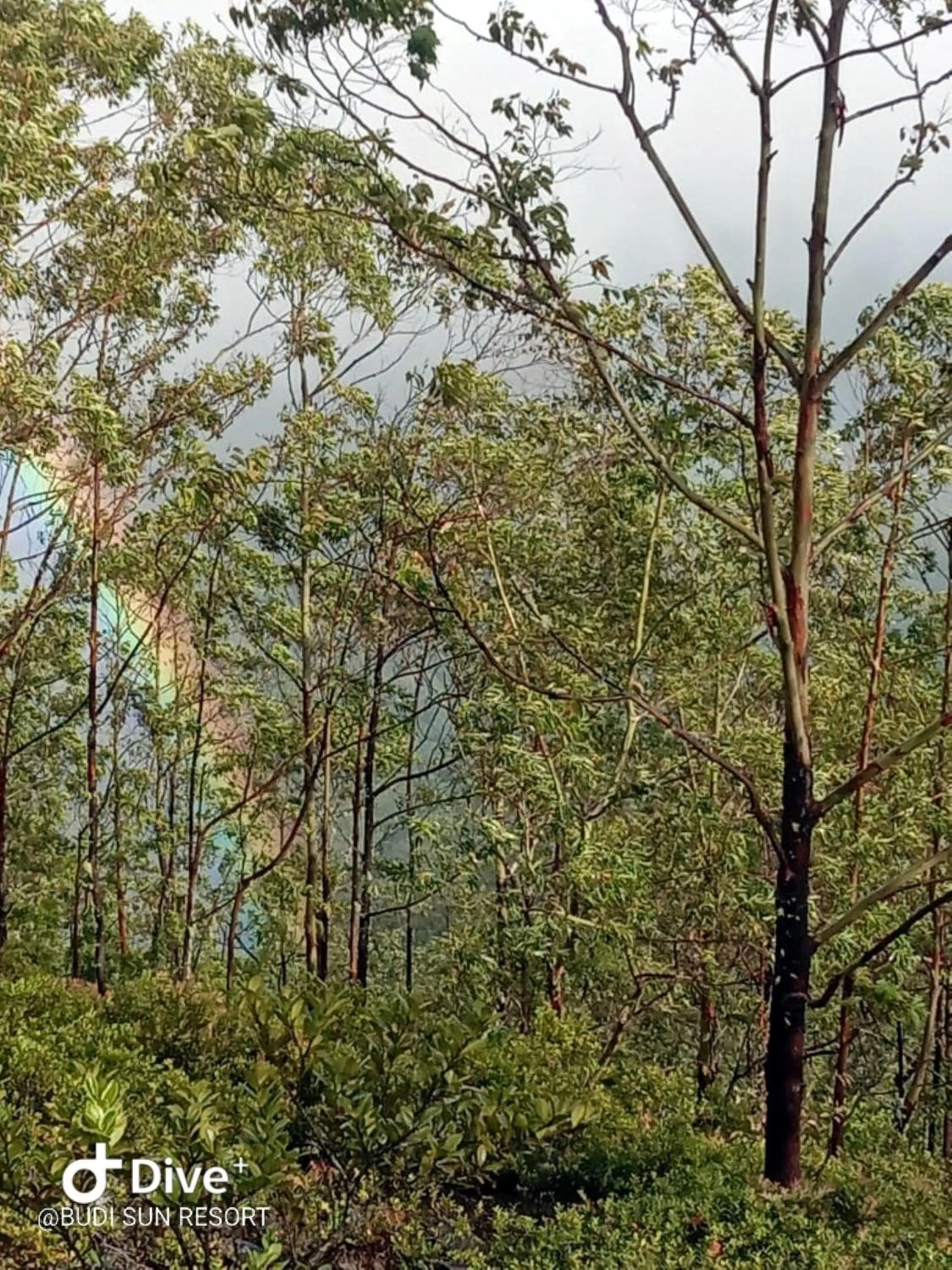 Nearby landmark in Budi Sun Resort, Flores, Maumere